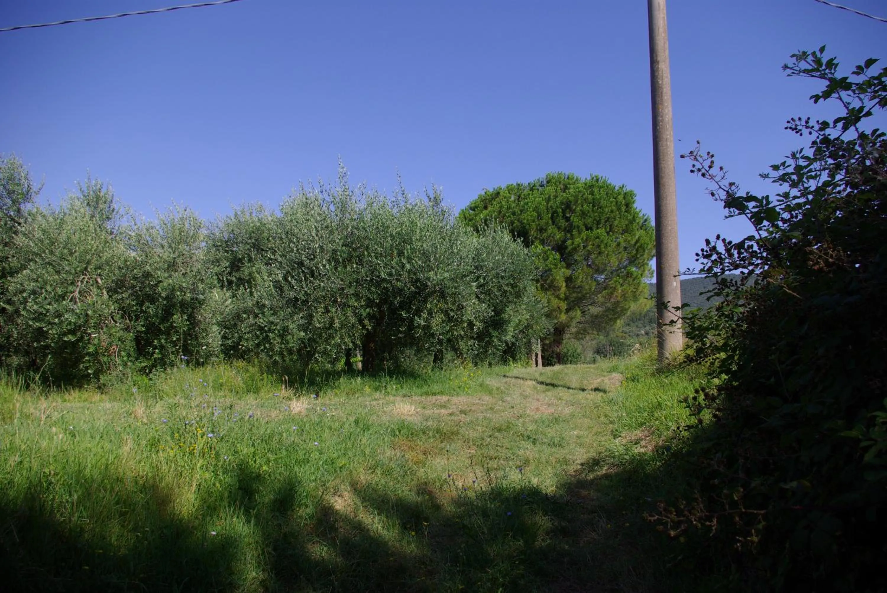 Villa Roccaccia