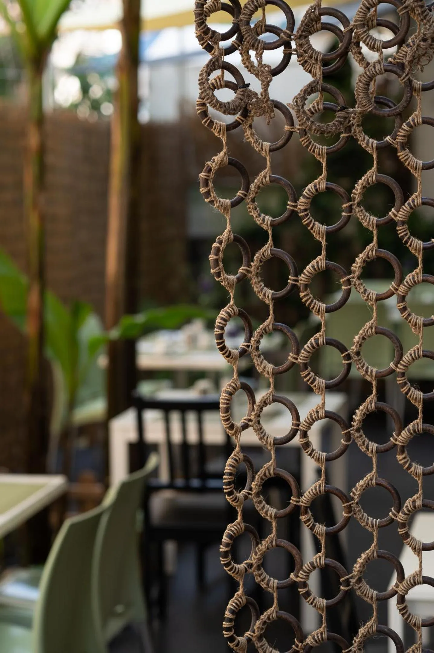 Garden in Hotel Akropol