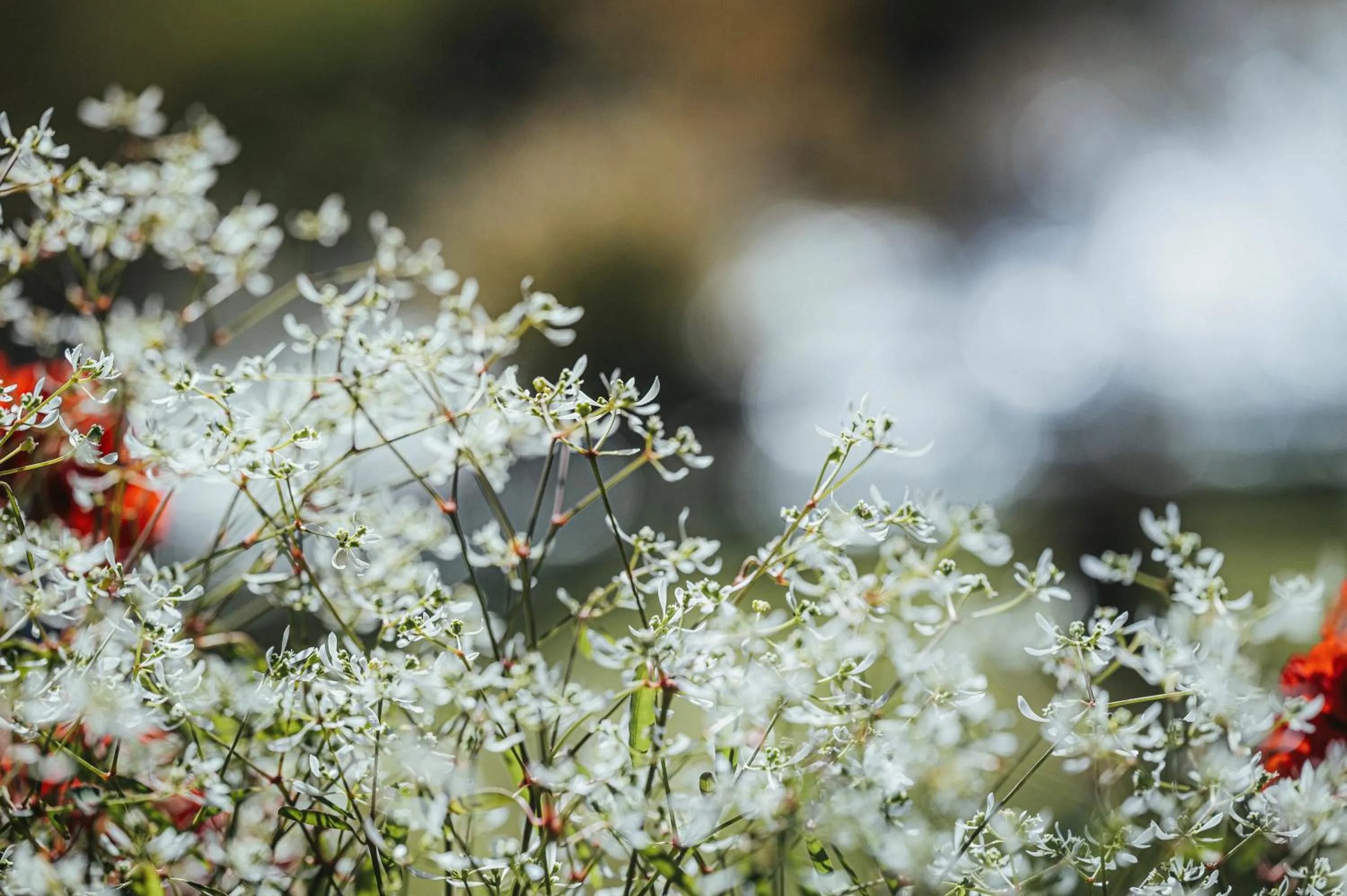 View (from property/room) in Biohotel Rastbichlhof