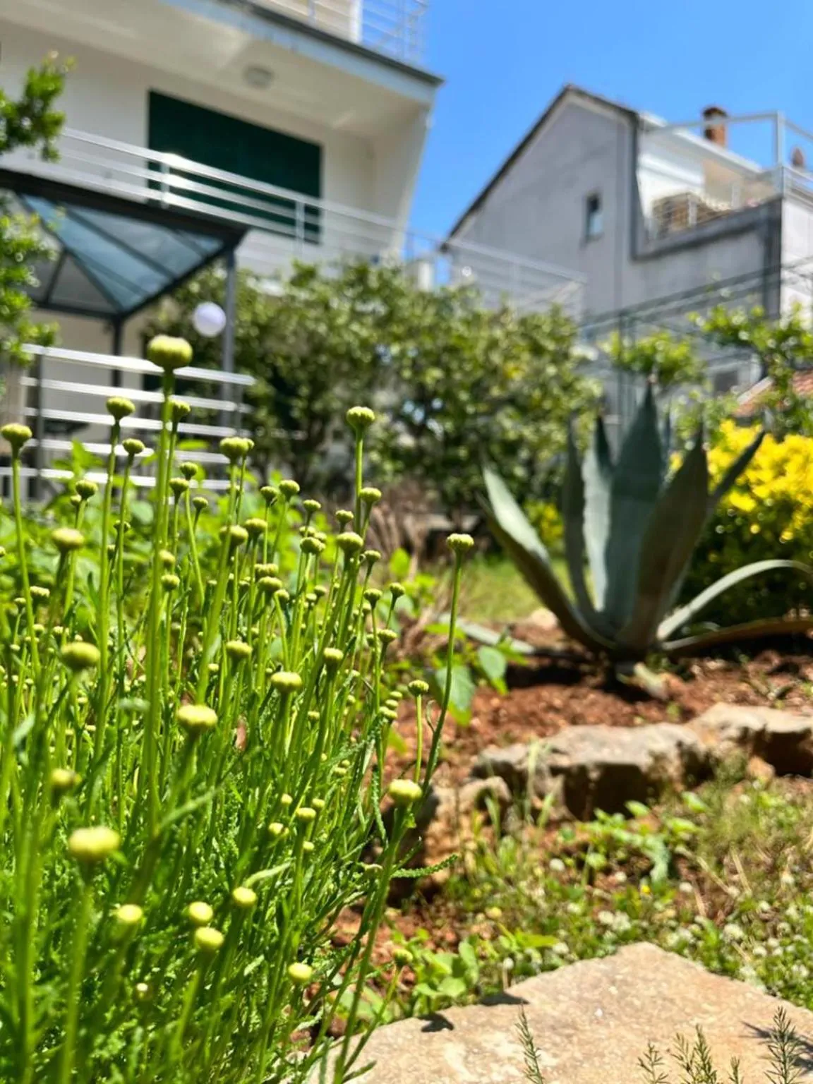 Property building in Lemon Tree Apartments