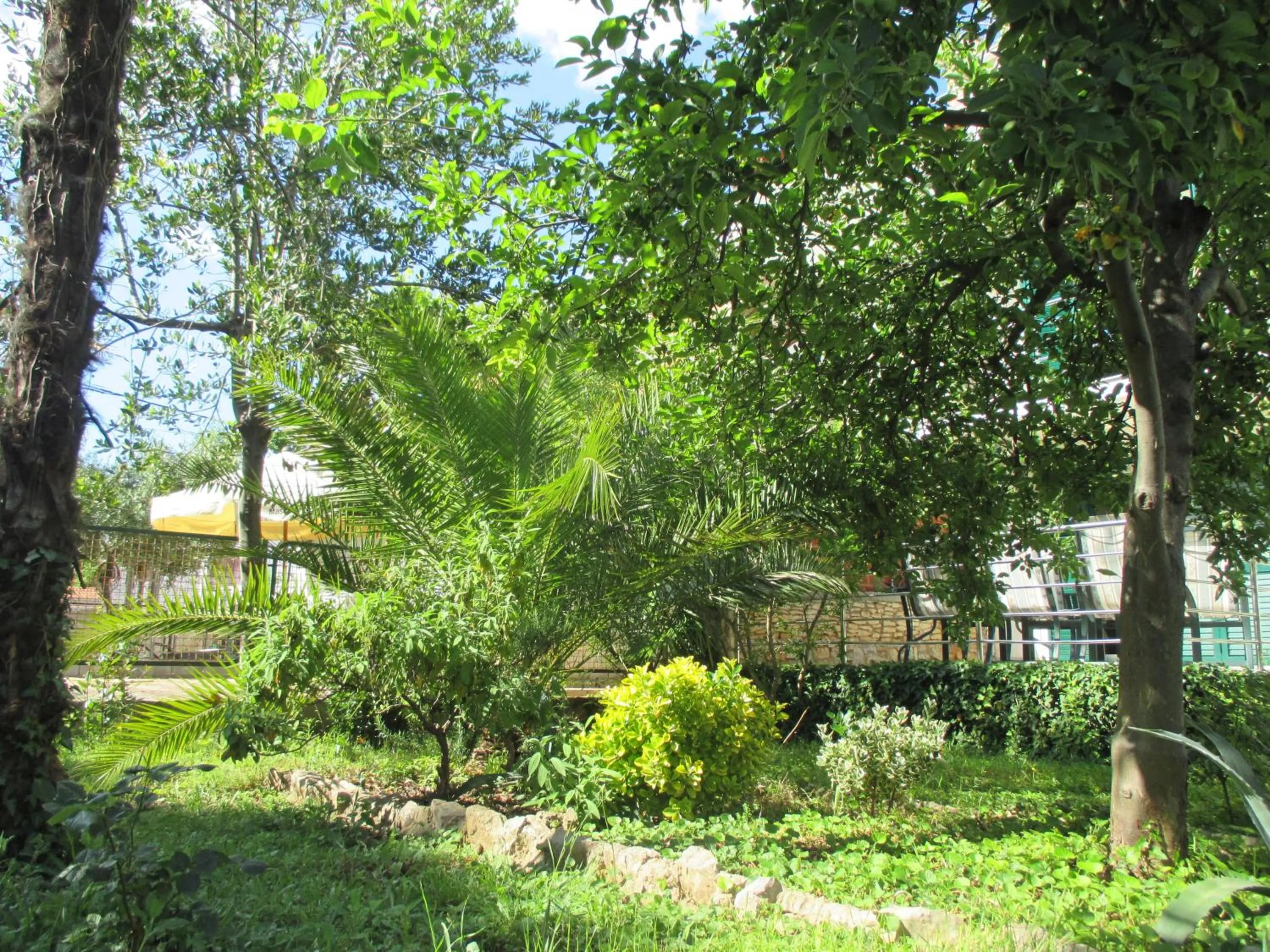 Garden in Lemon Tree Apartments