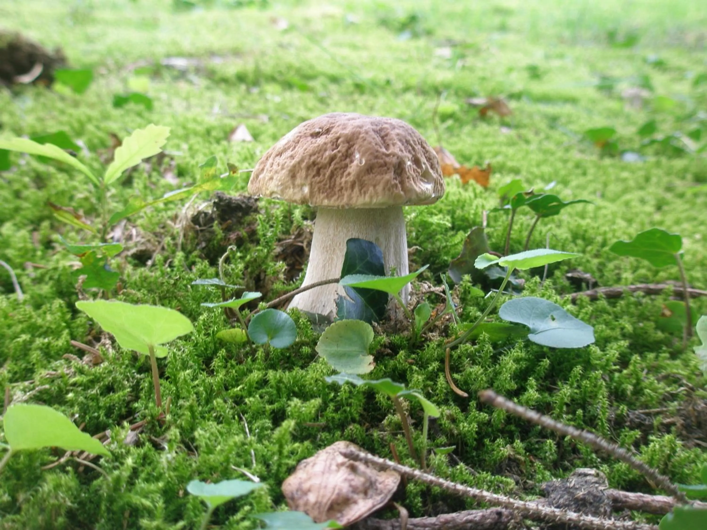 Property building in La Rosa Tra I Laghi B&B