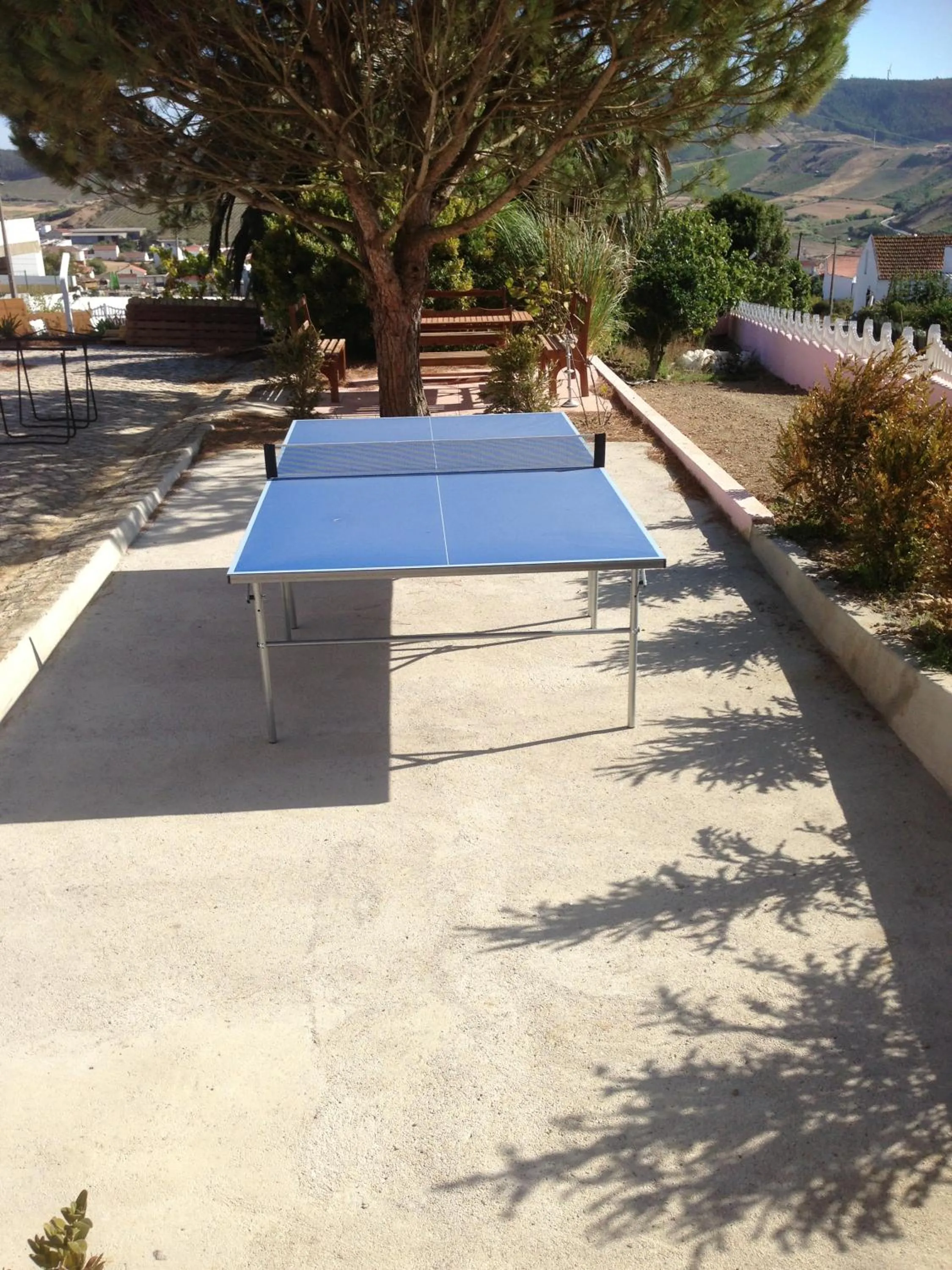 Table tennis in Domestival