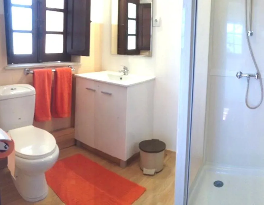 Shower in Domestival