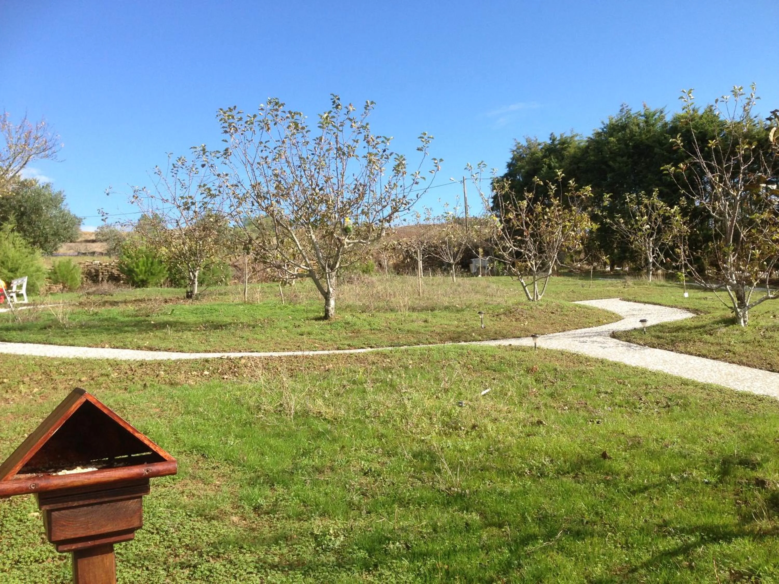 Natural landscape in Domestival