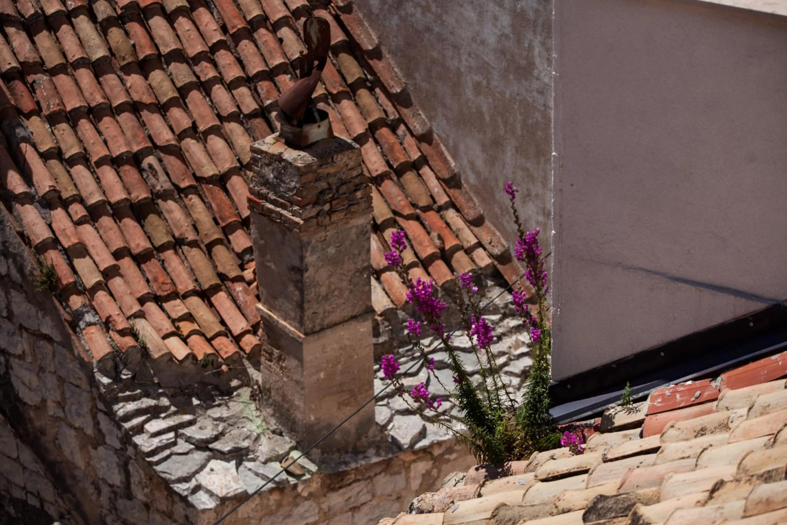 View (from property/room) in Komiza Provita Guesthouse