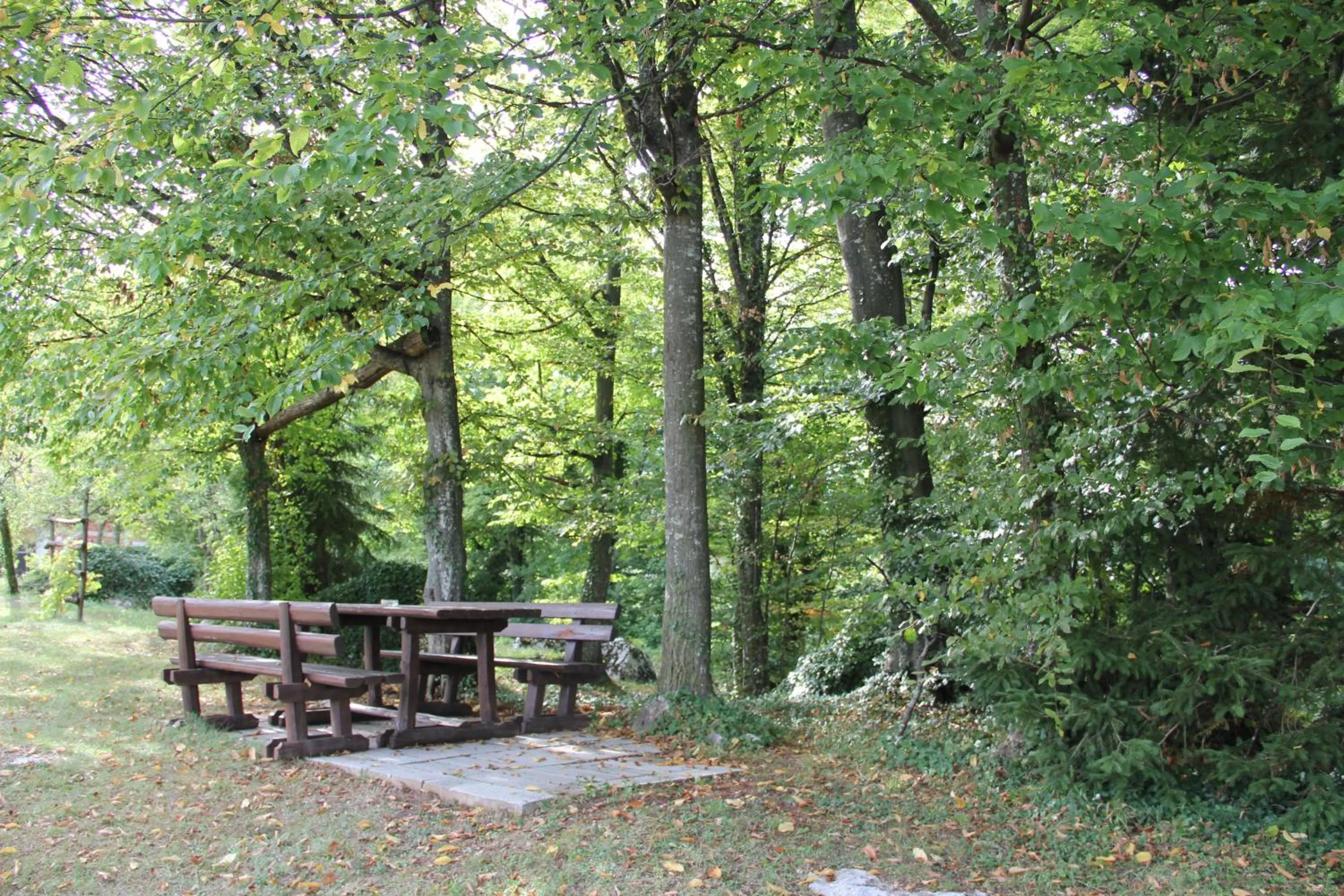 Garden in House Marija B&B