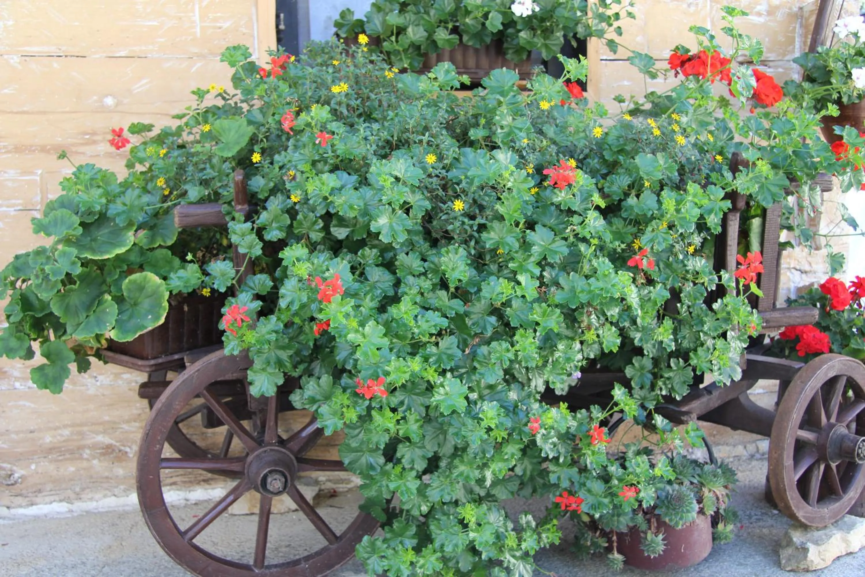 On site in House Marija B&B