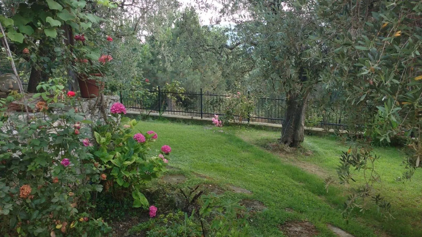 Garden in La vie est belle
