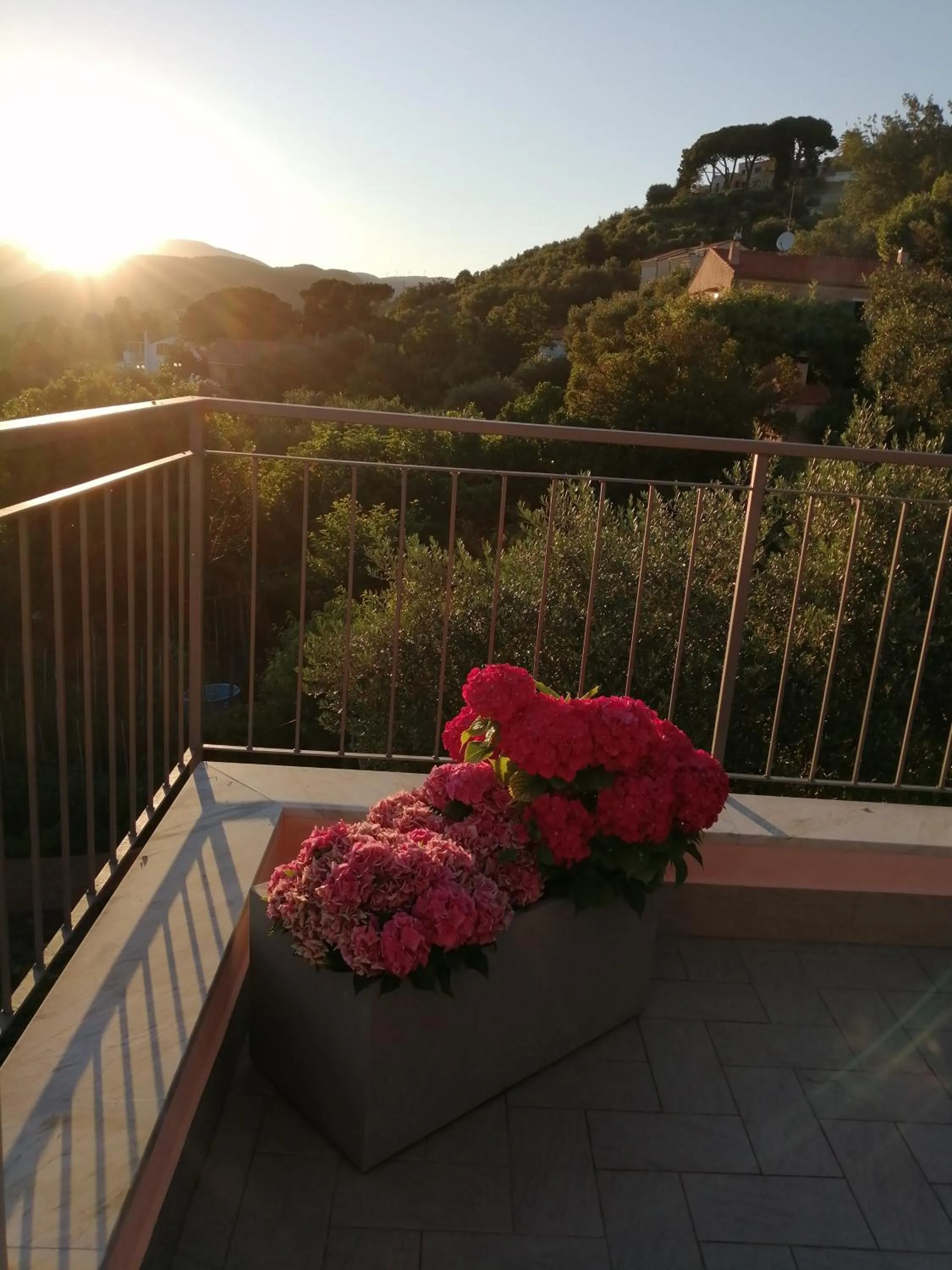 Balcony/Terrace in La vie est belle