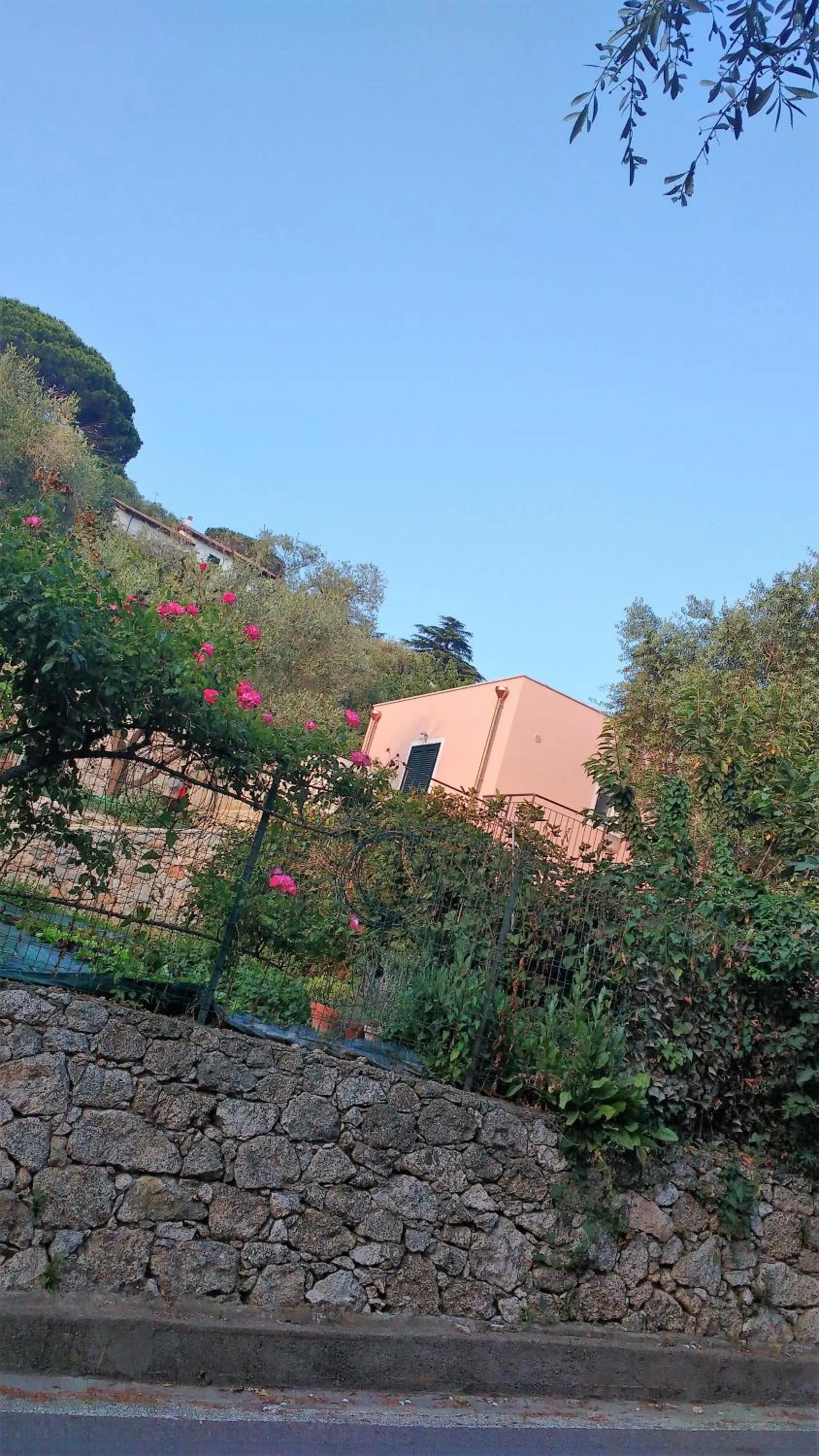 Property building in La vie est belle