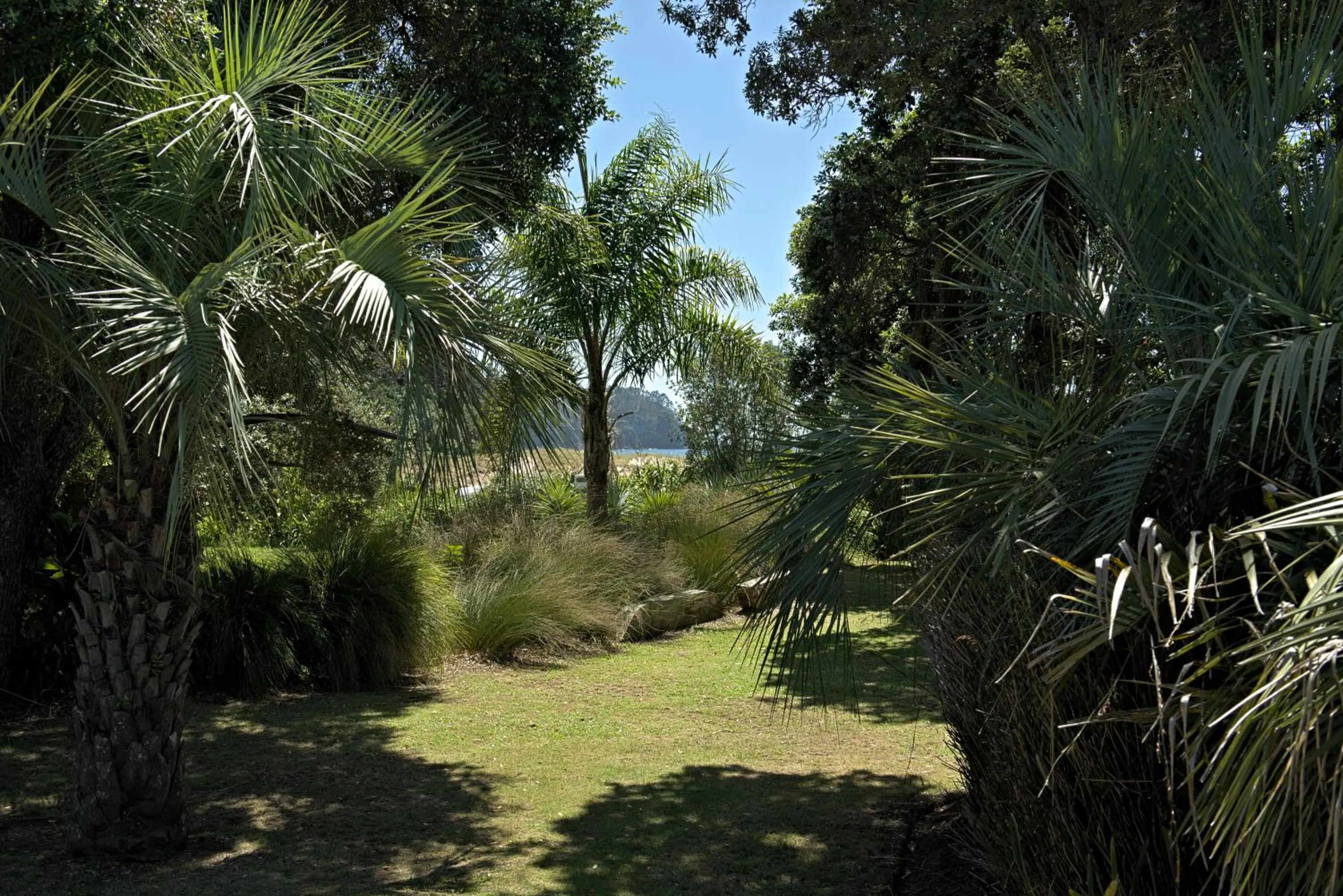 Garden in Hot Water Beach Bure Wera