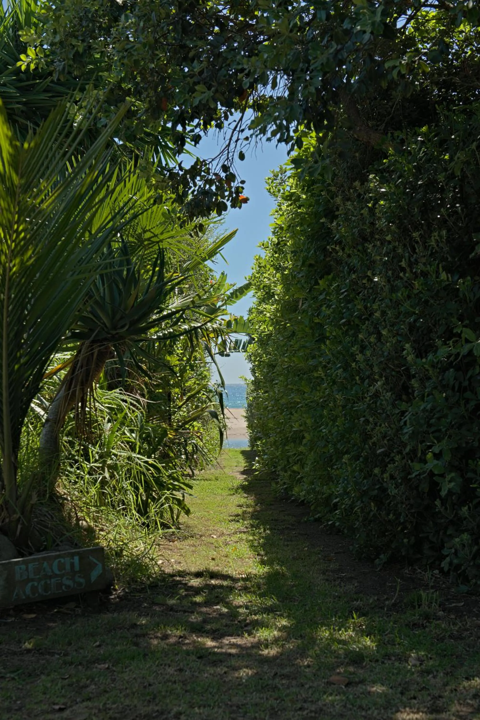 Beach in Hot Water Beach Bure Wera