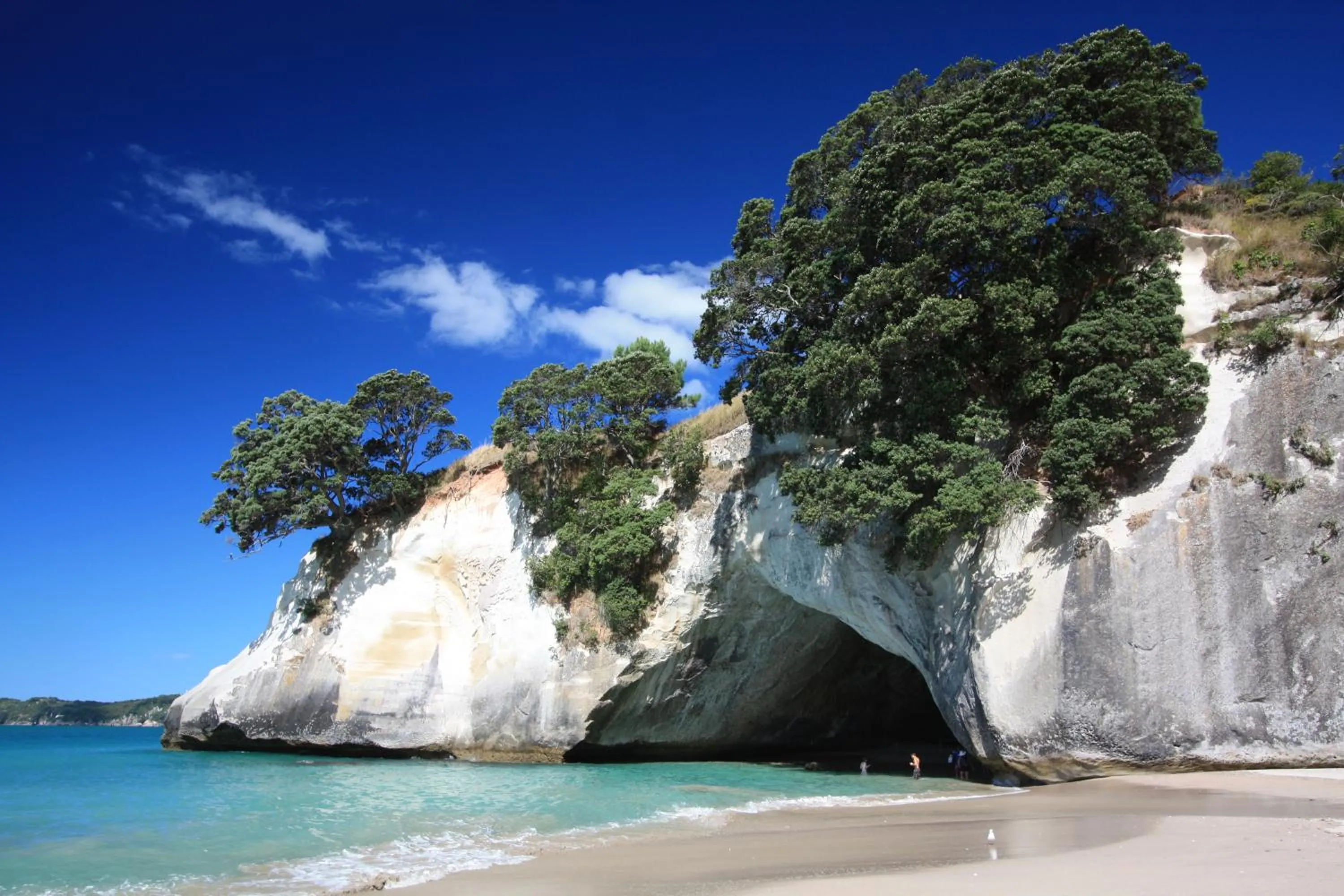 Natural landscape in Hot Water Beach Bure Wera