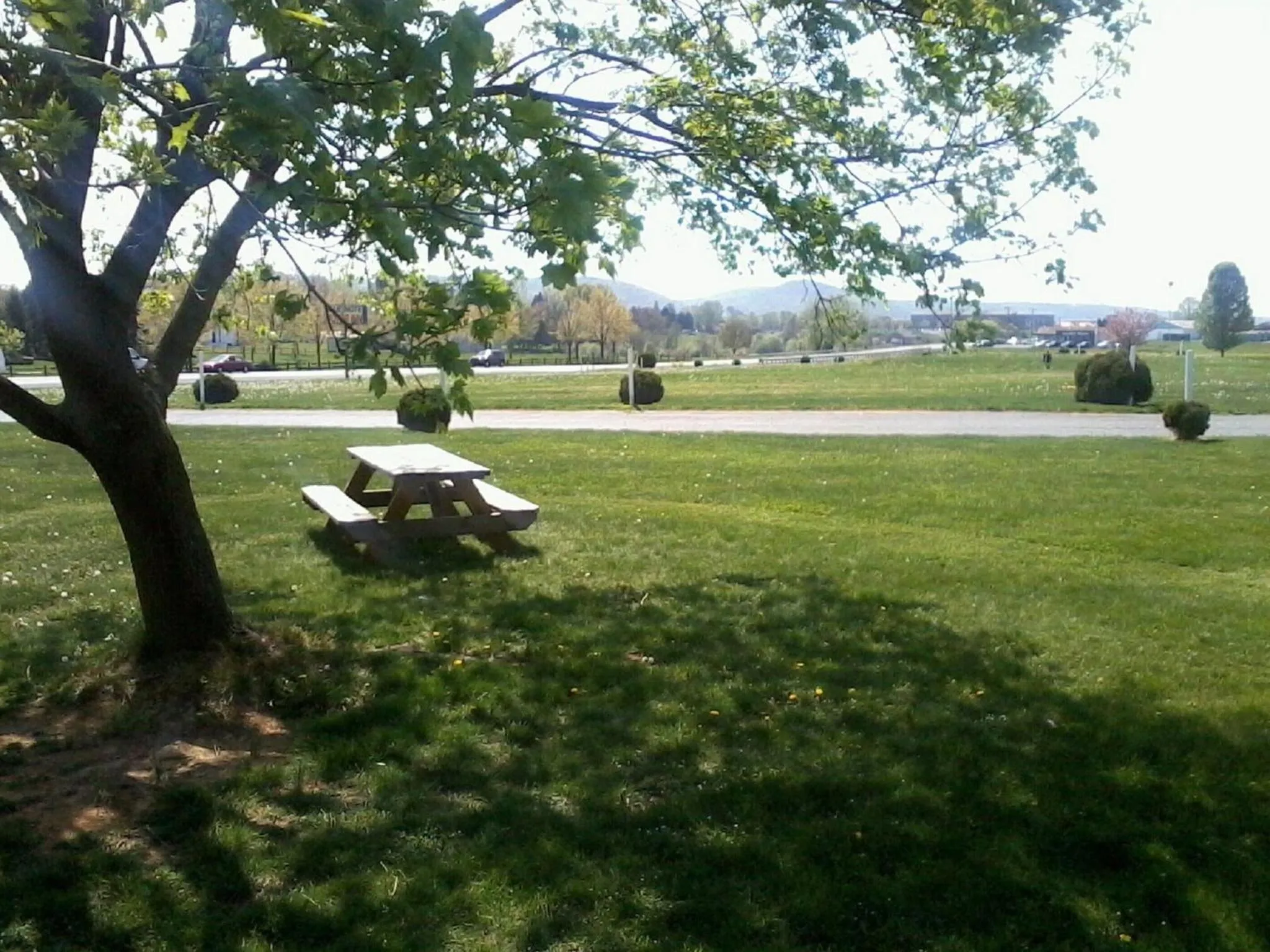 Activities in Blue Note Motor Inn