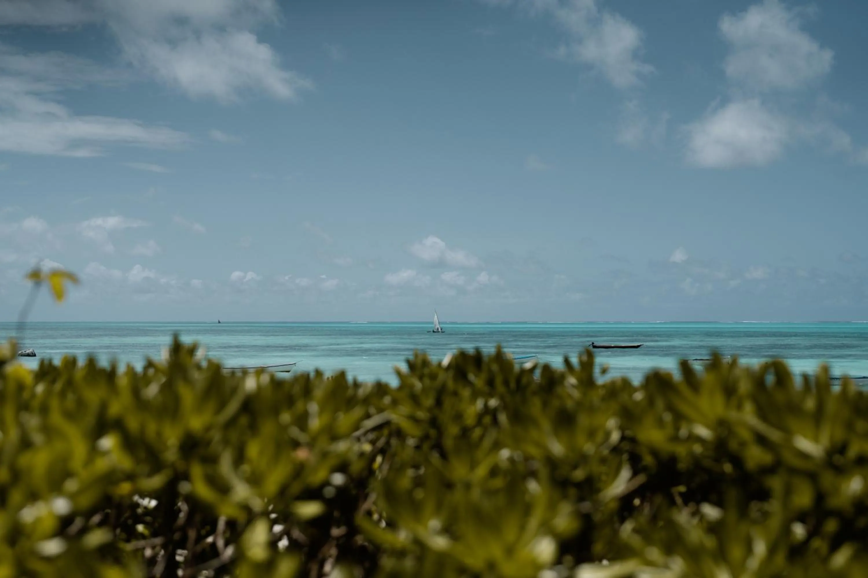 Day in The Loop Beach Resort