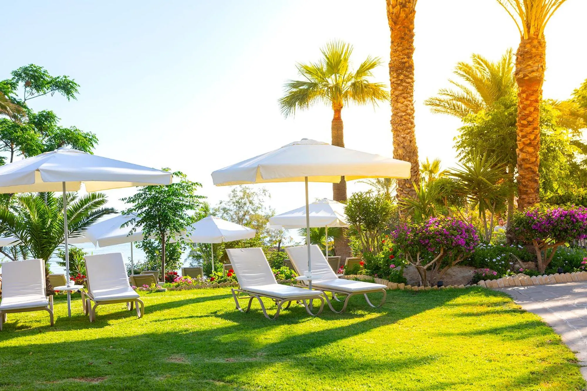 Garden in Crystal Springs Beach Hotel