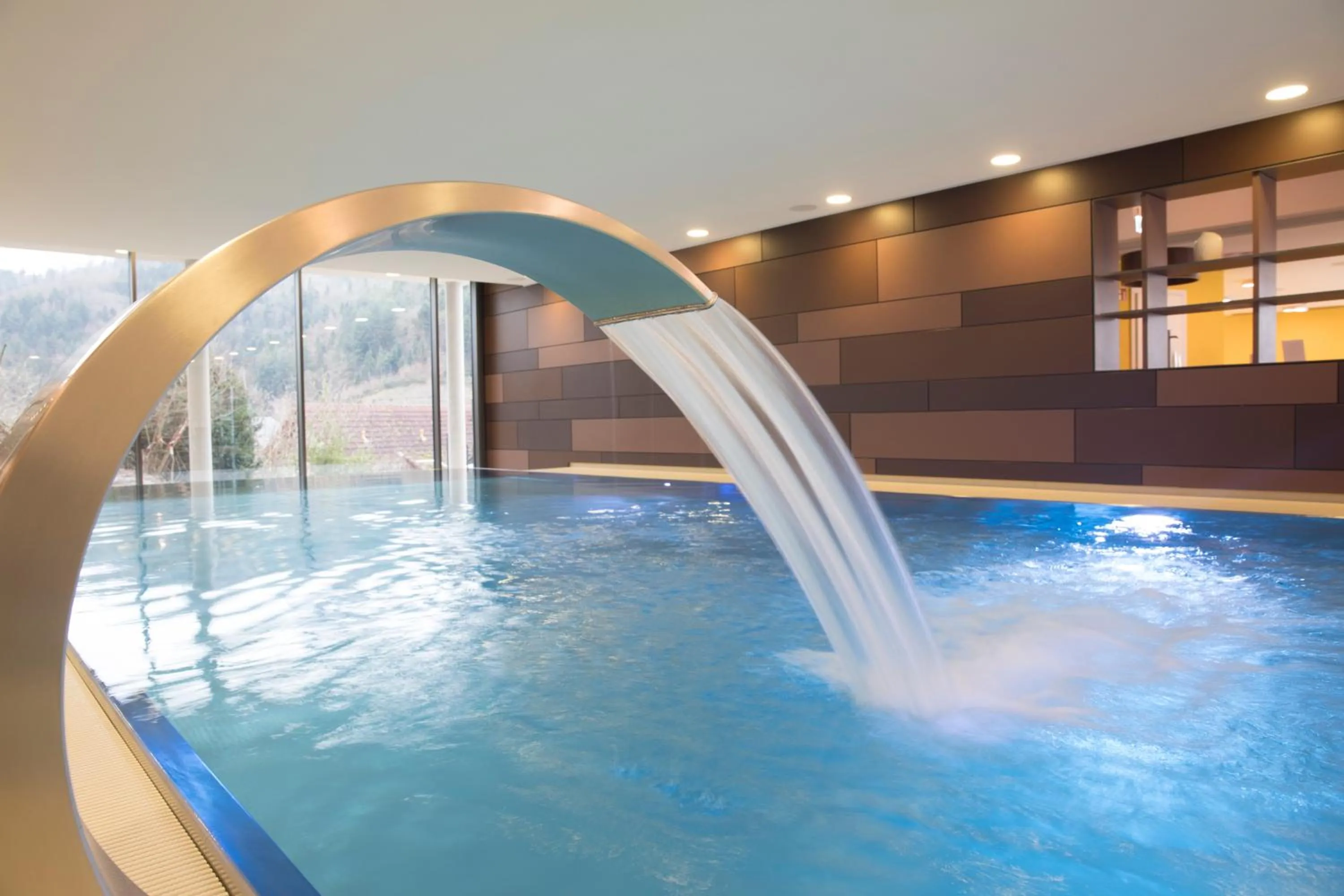Swimming pool in Sonnenhof Hotel & Spa