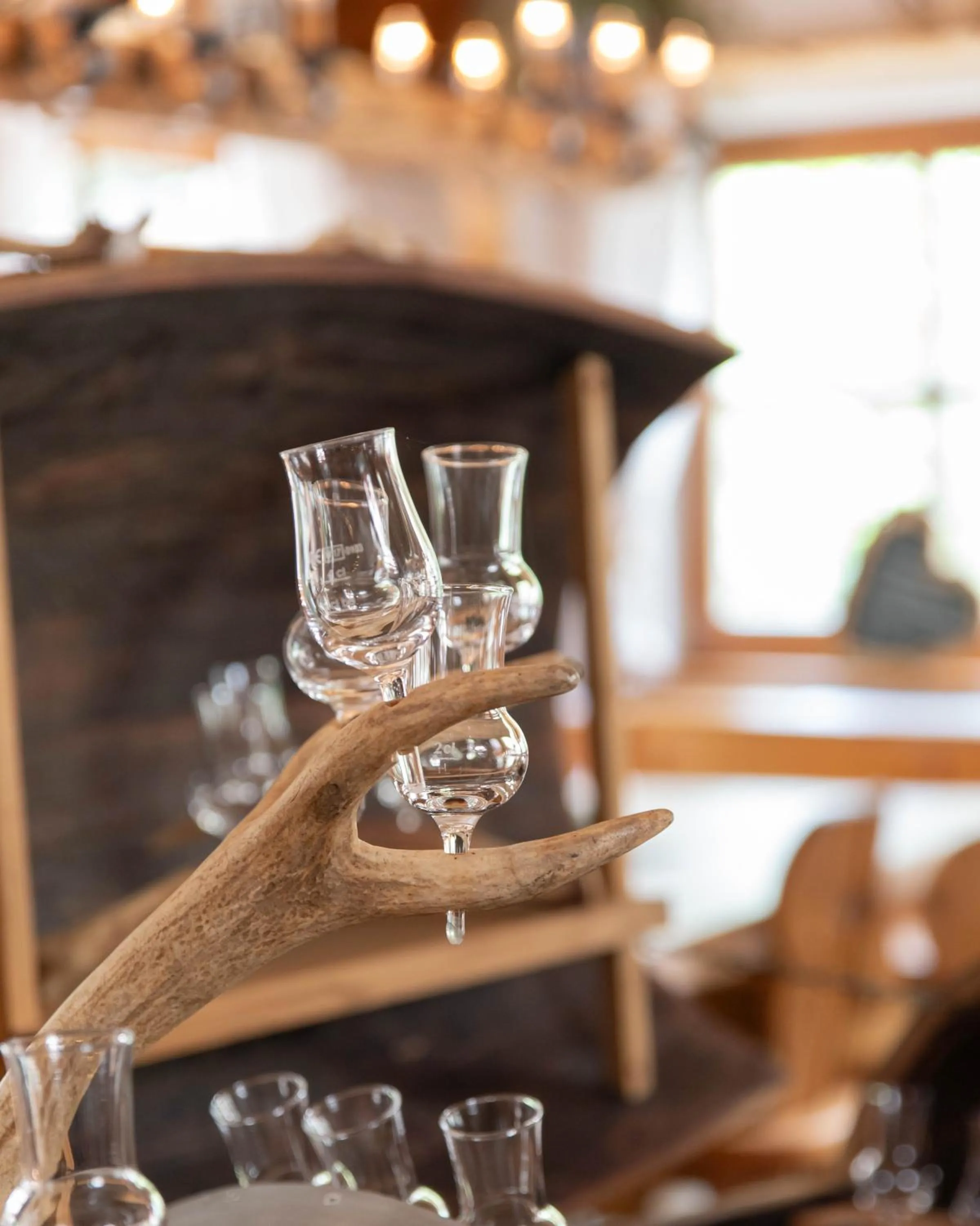 Restaurant/places to eat in Hotel zur Isar