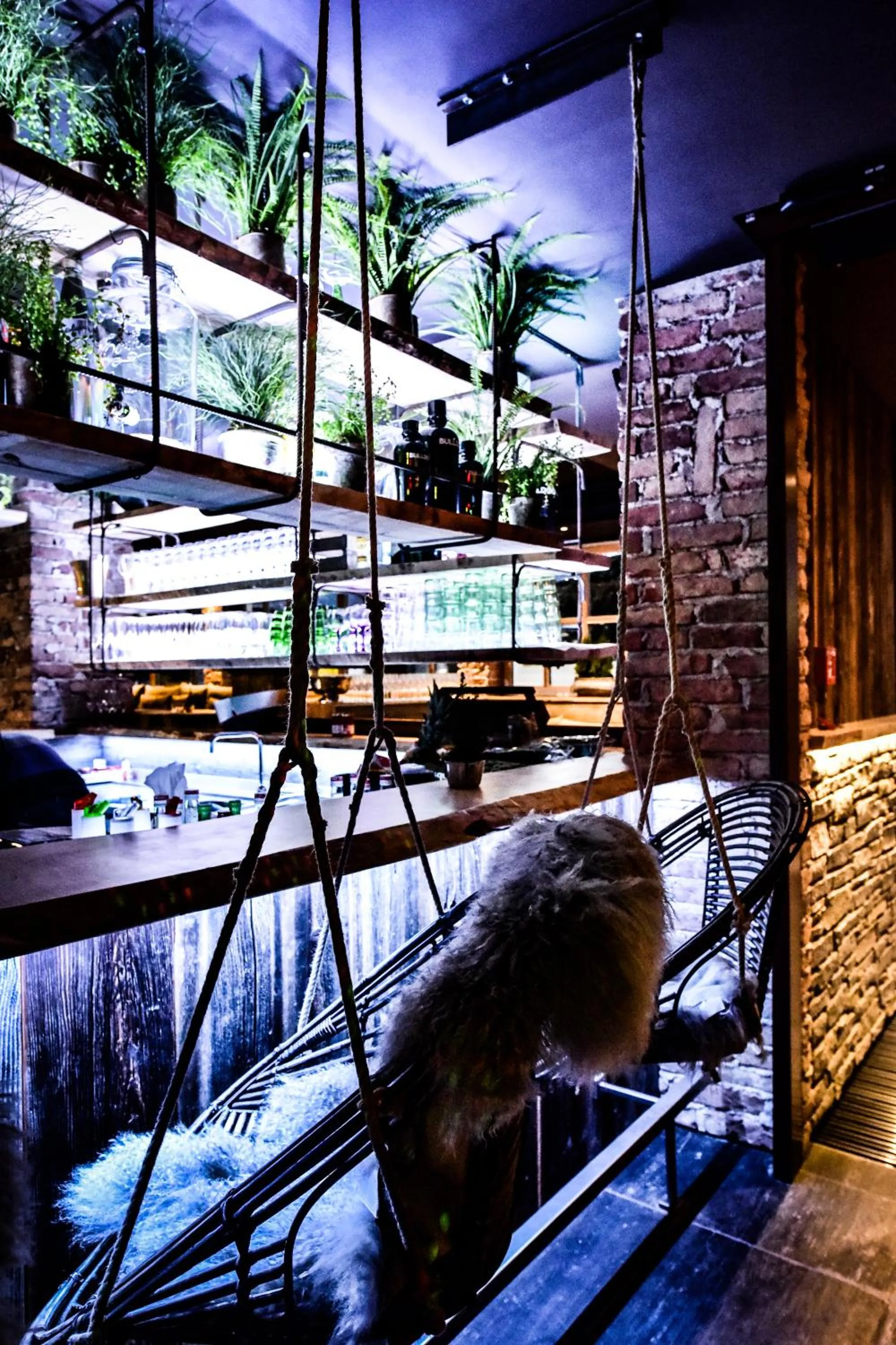 Lounge or bar in Lifestyle Hotel eder