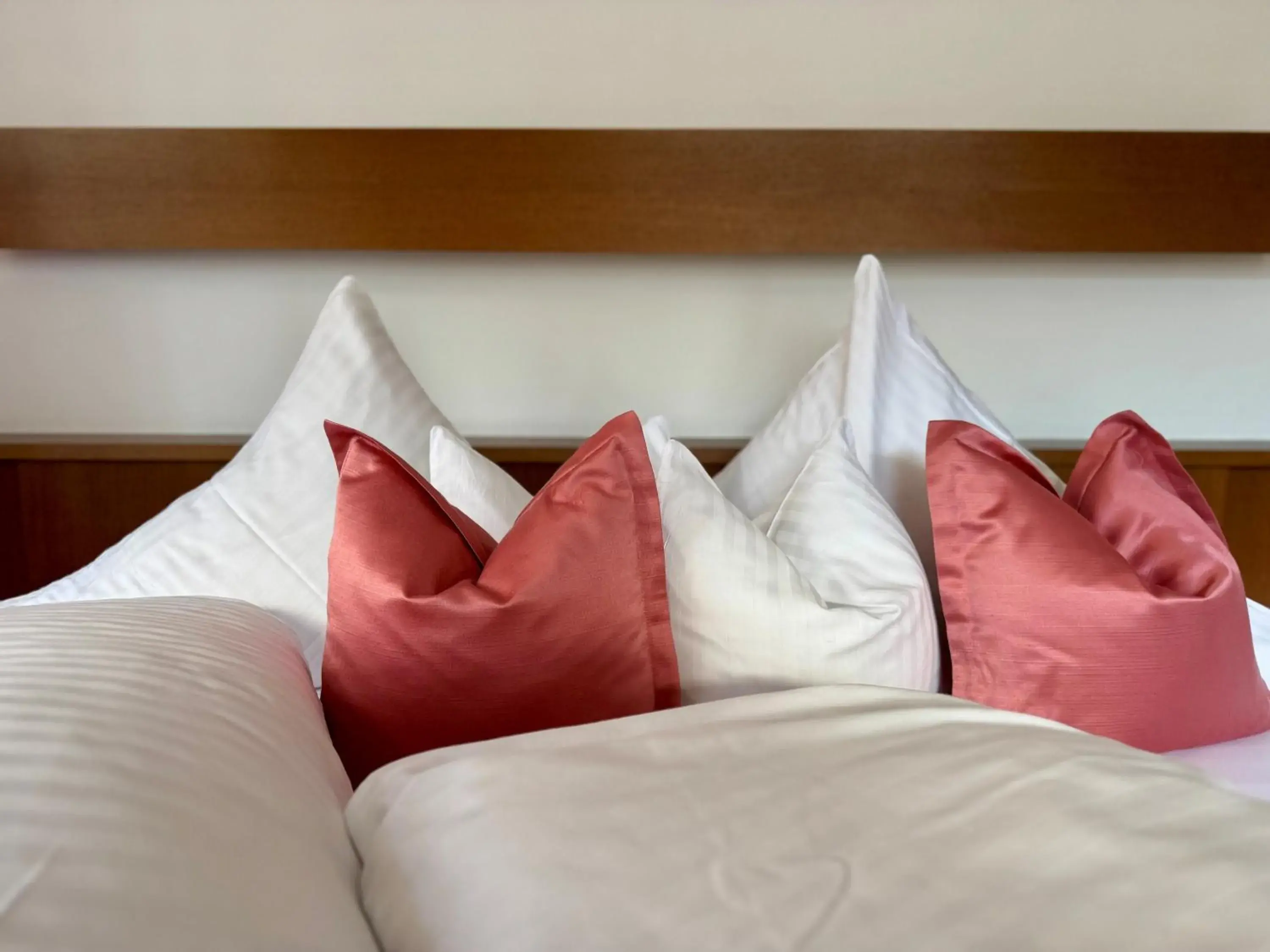 Standard Double Room in Hotel Maria Theresia Standard Double Room in Hotel Maria Theresia