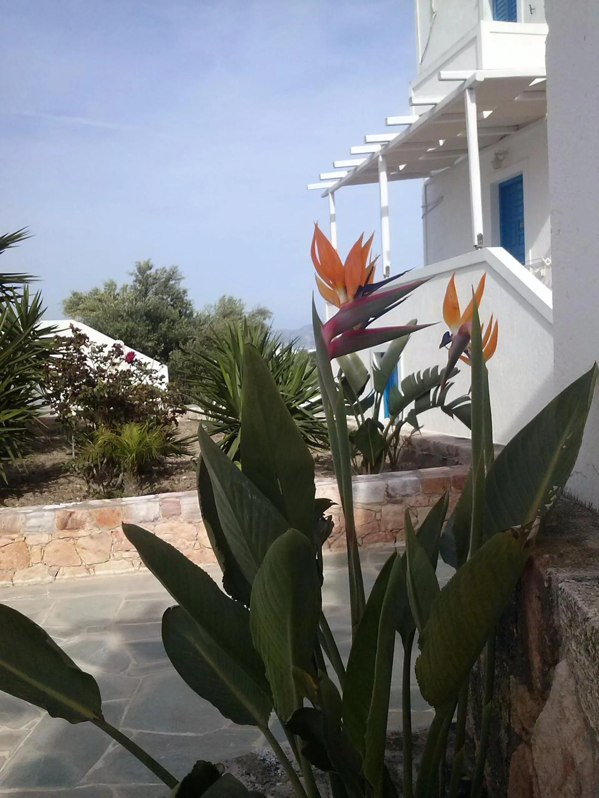 Balcony/Terrace in Glaronisia Hotel