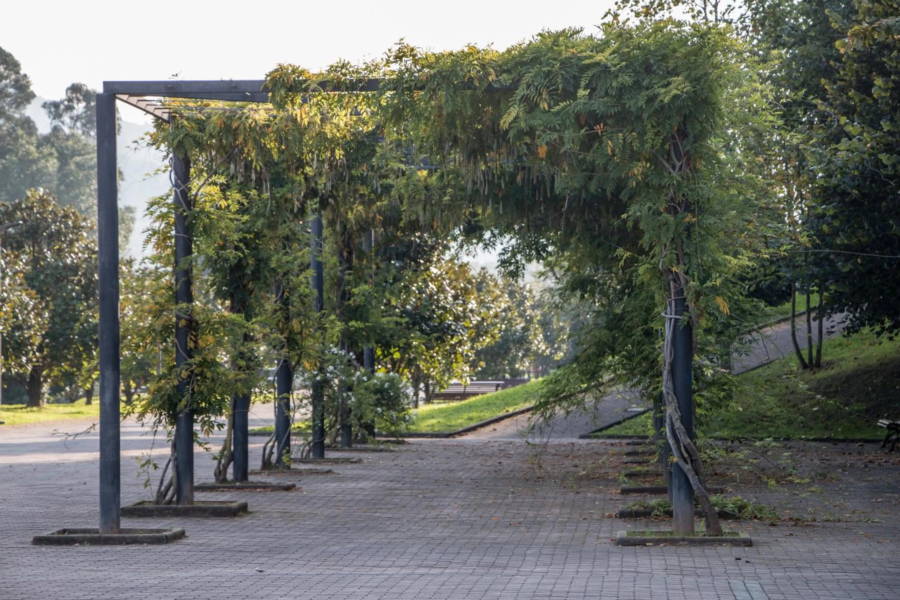 Off site in Hotel Las Anclas