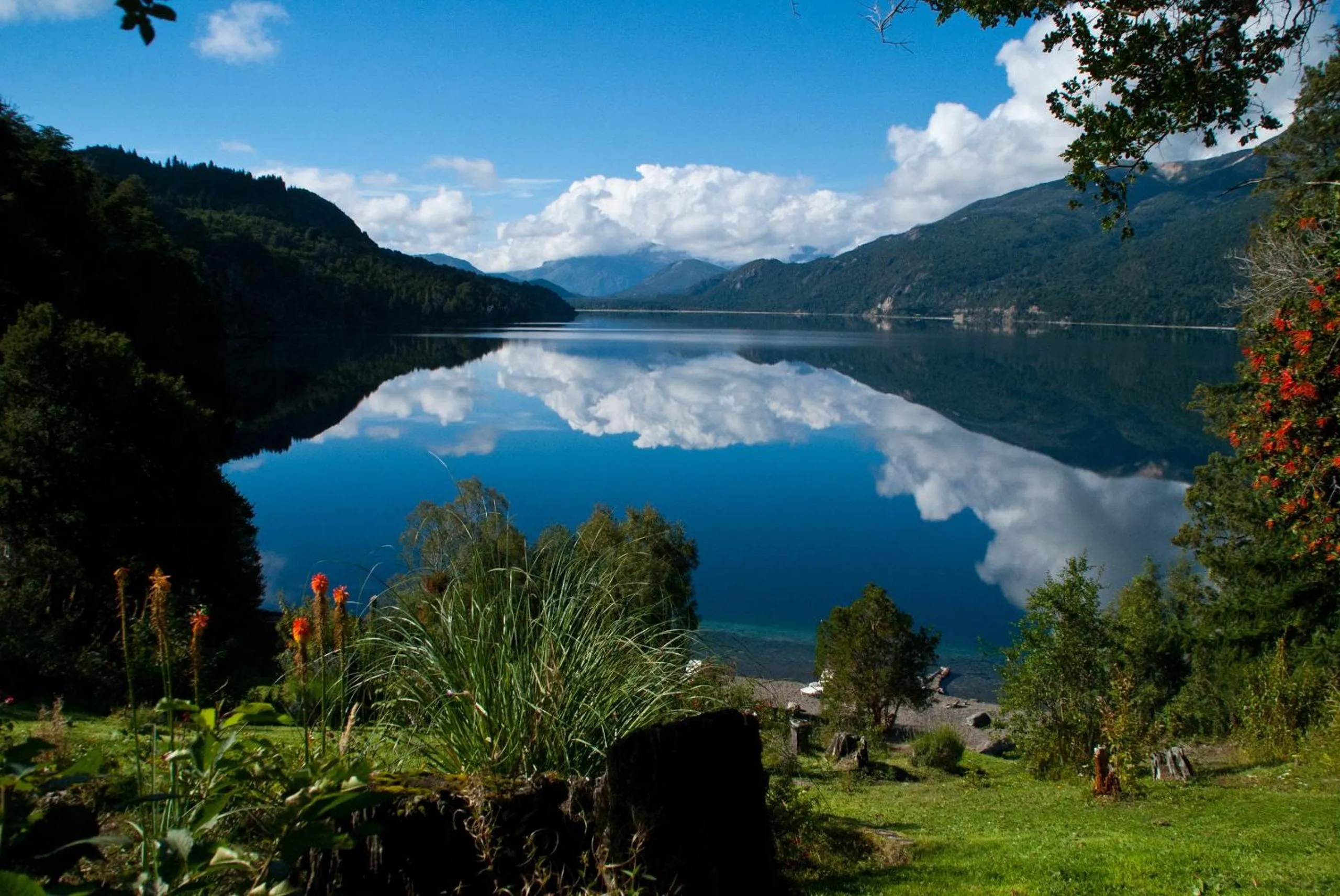Natural landscape in Cabañas Villa Pañil