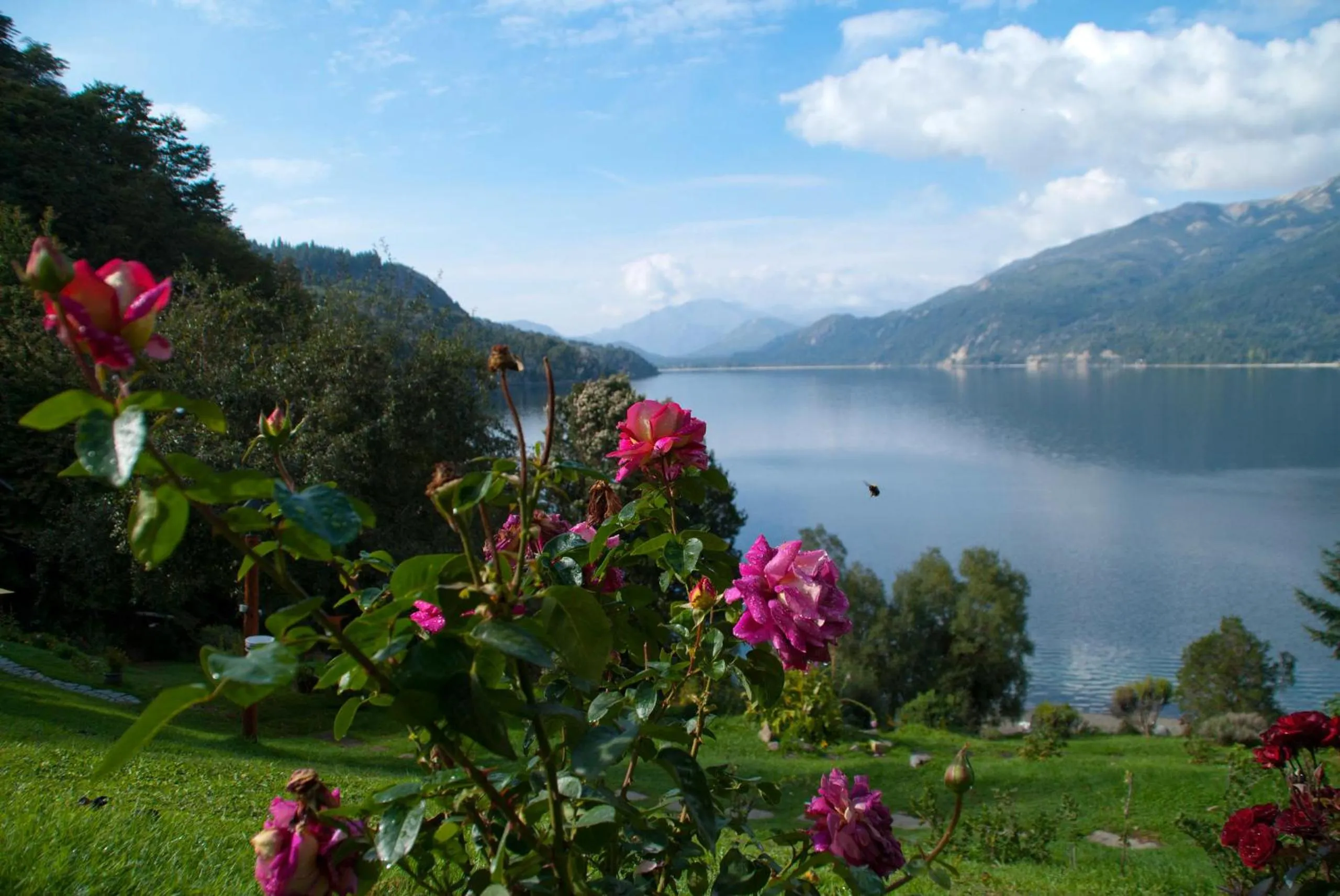 Natural landscape in Cabañas Villa Pañil