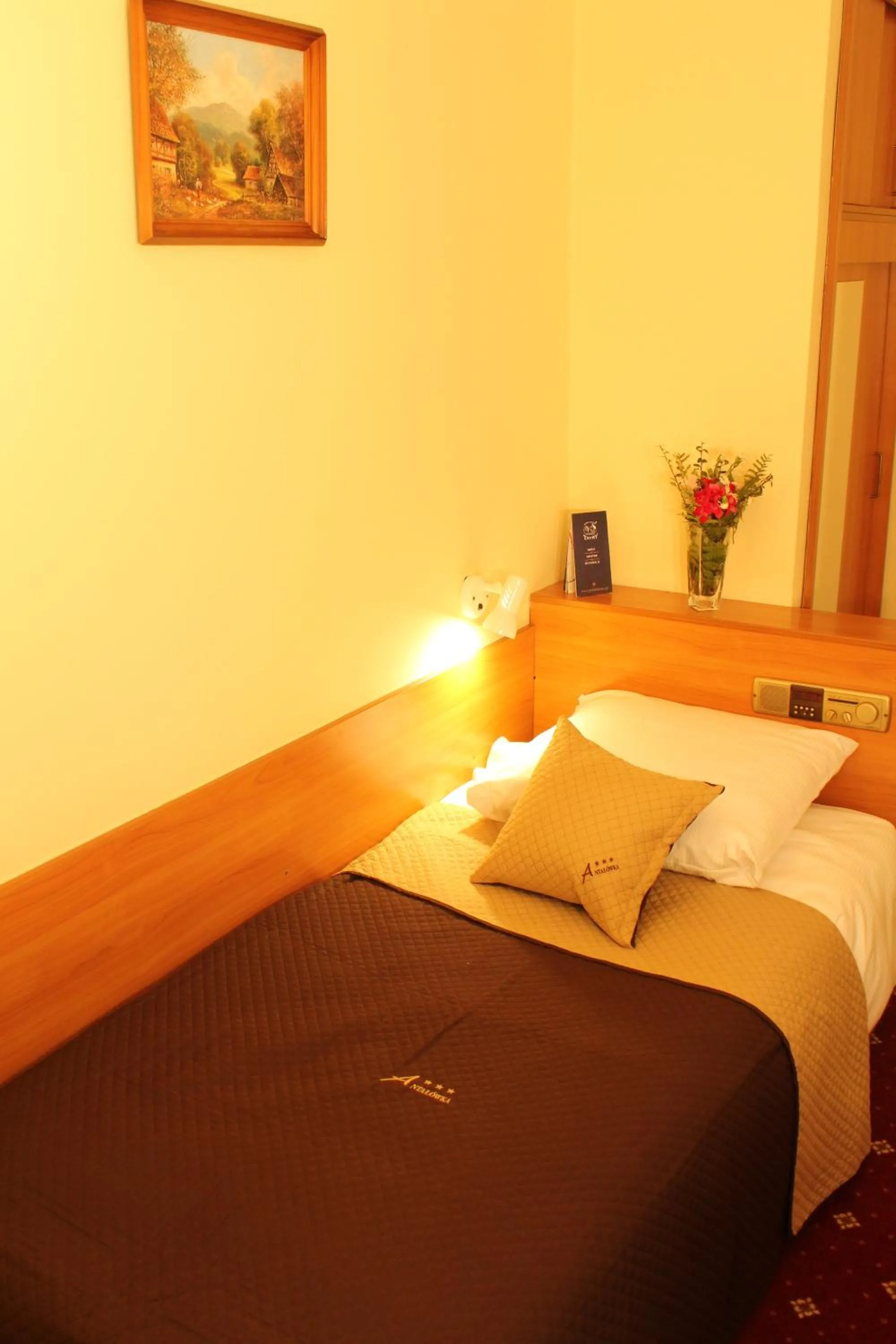 Bed in Kompleks Antałówka Termy & Med