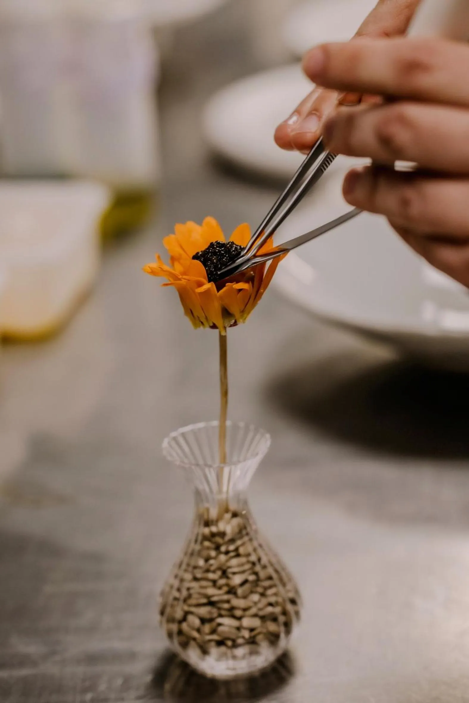 Lunch in Domaine Du Roncemay - Hôtel, Restaurants, Spa & Golf