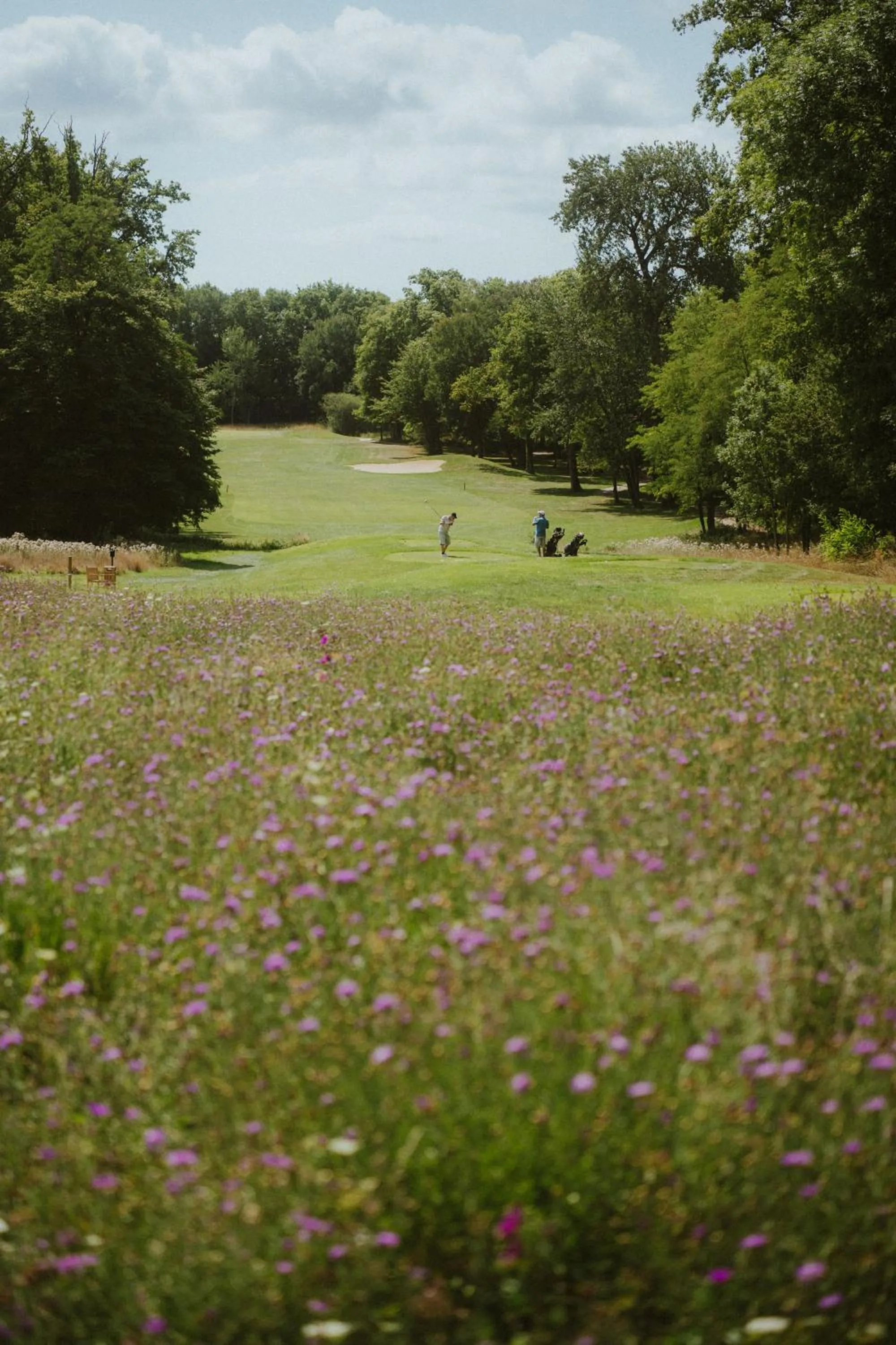 Golfcourse in Domaine Du Roncemay - Hôtel, Restaurants, Spa & Golf