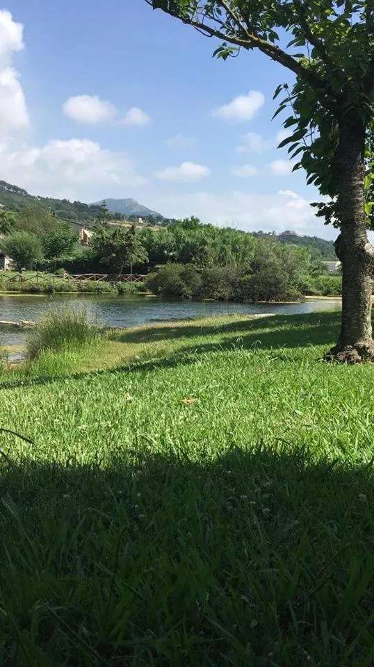 Natural landscape in B&B Villa Filomena