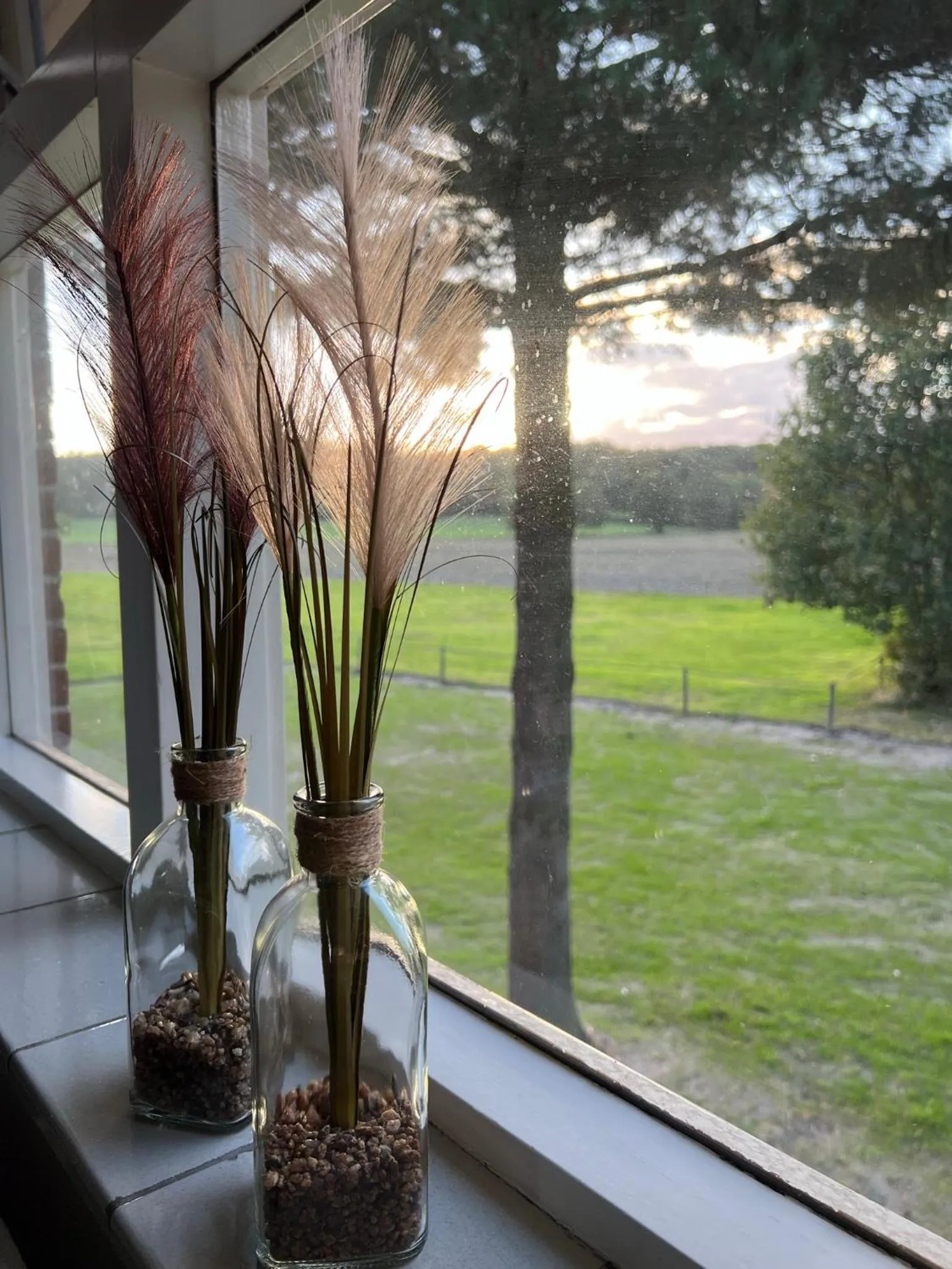 Natural landscape in B&B Zwiep