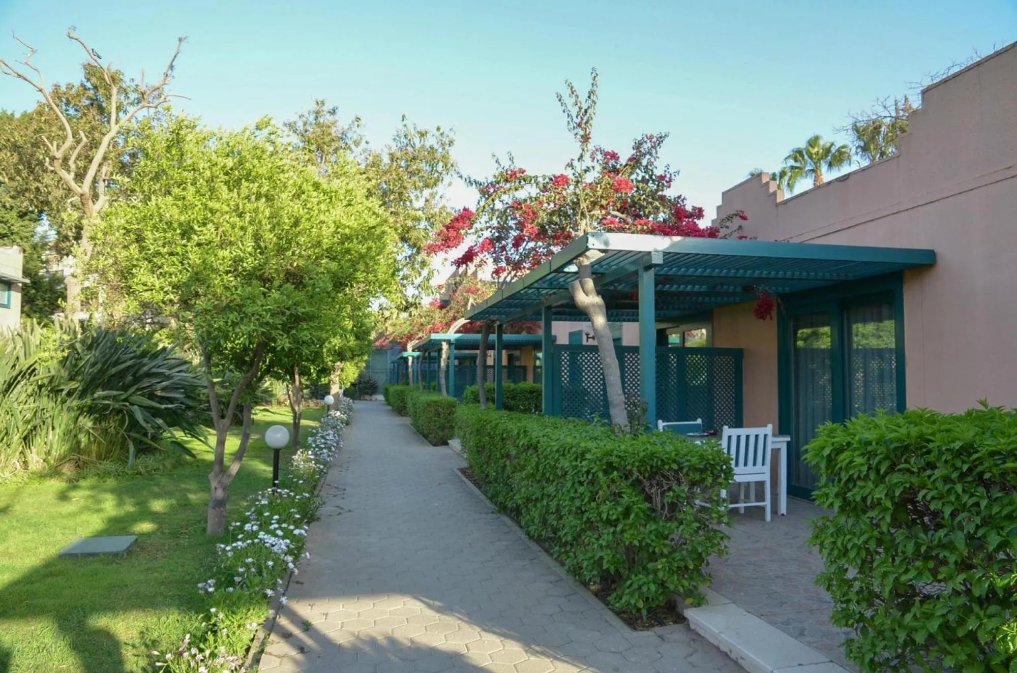 Garden in Cairo Pyramids Hotel