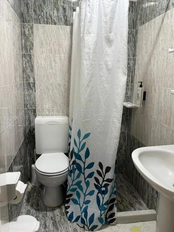 Toilet in Babis Hotel