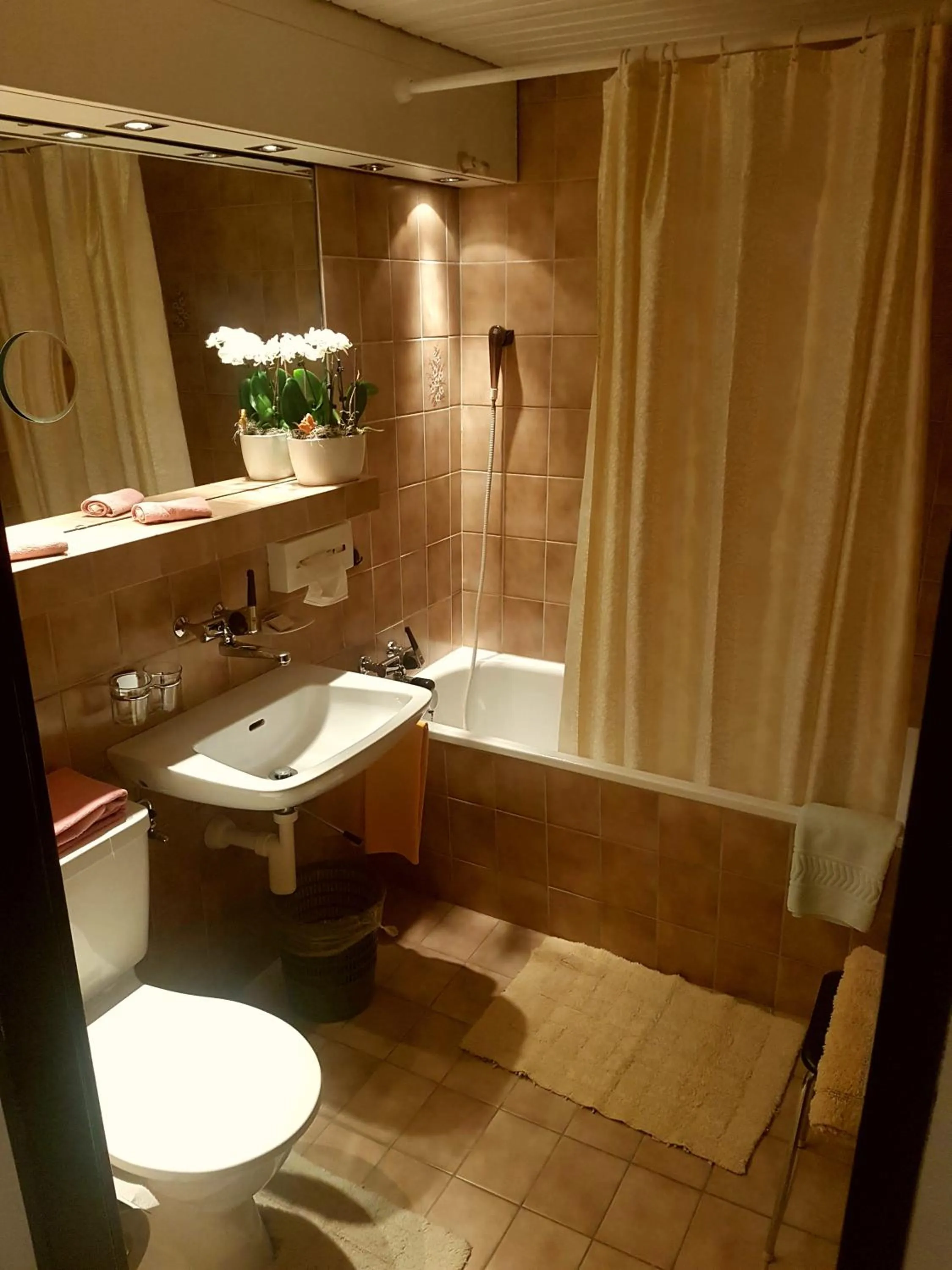 Bathroom in Hotel Sonne