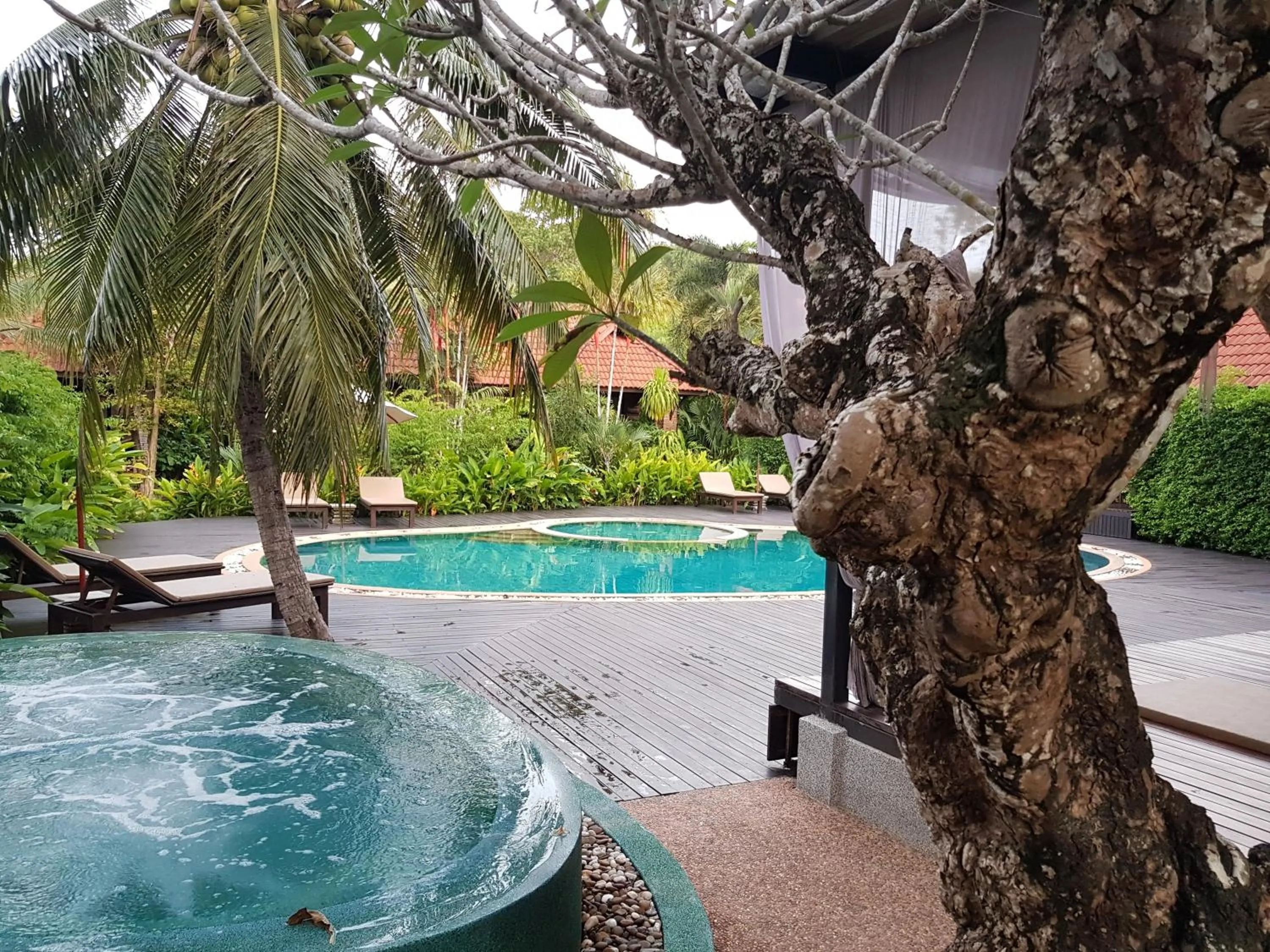 Pool view in Tropicana Lanta Resort