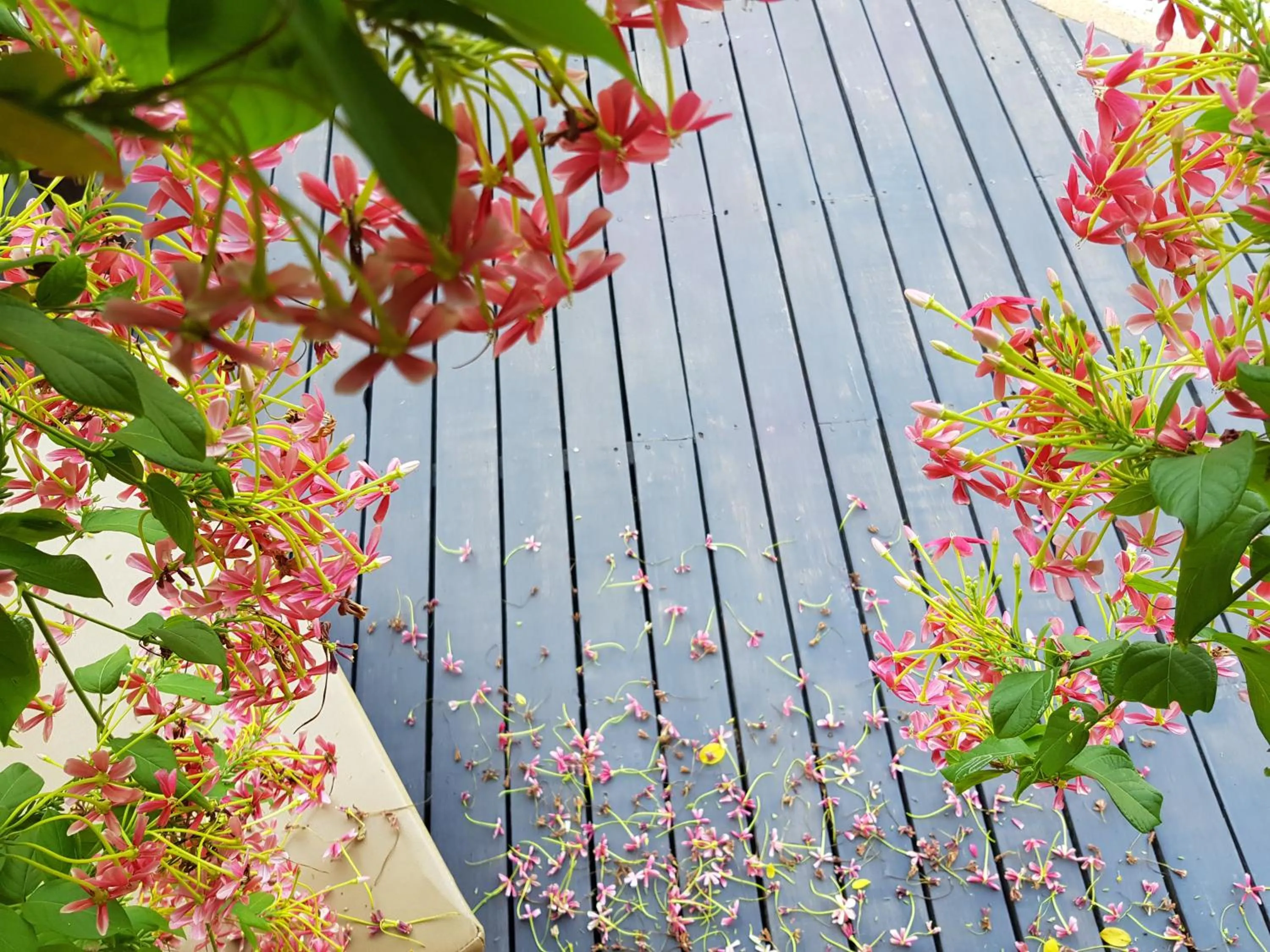 Balcony/Terrace in Tropicana Lanta Resort