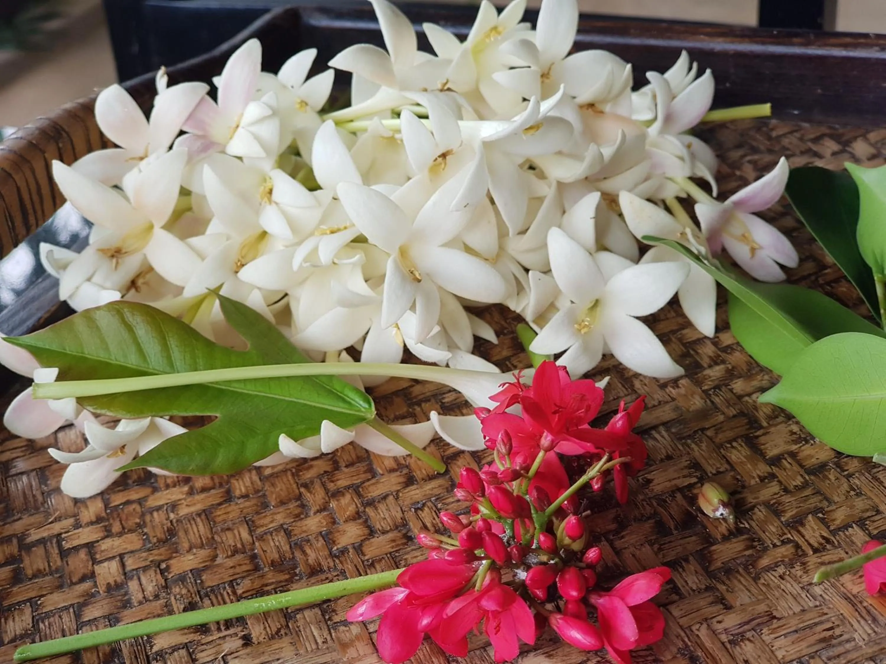 Garden in Tropicana Lanta Resort