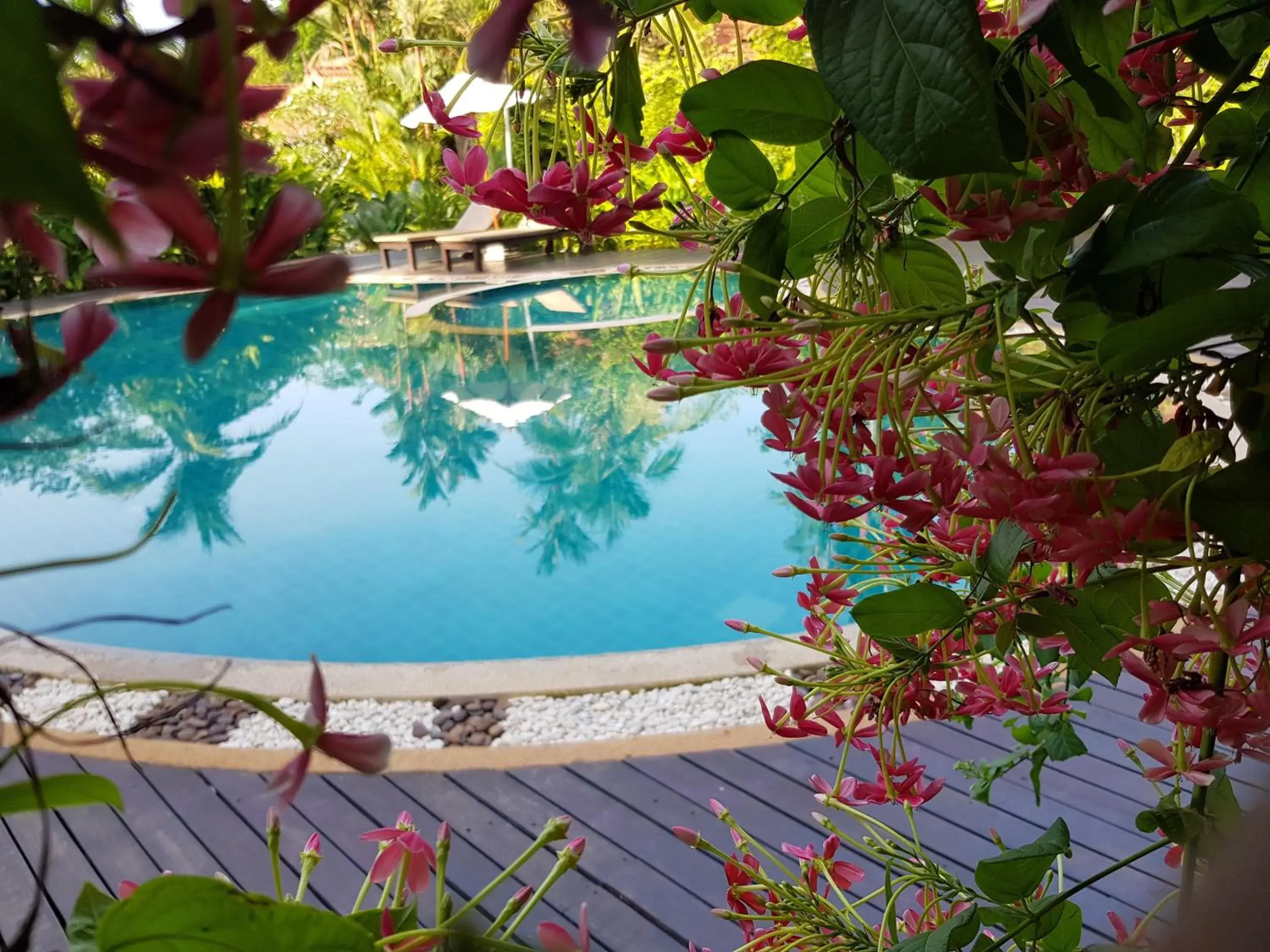Swimming pool in Tropicana Lanta Resort Swimming pool in Tropicana Lanta Resort