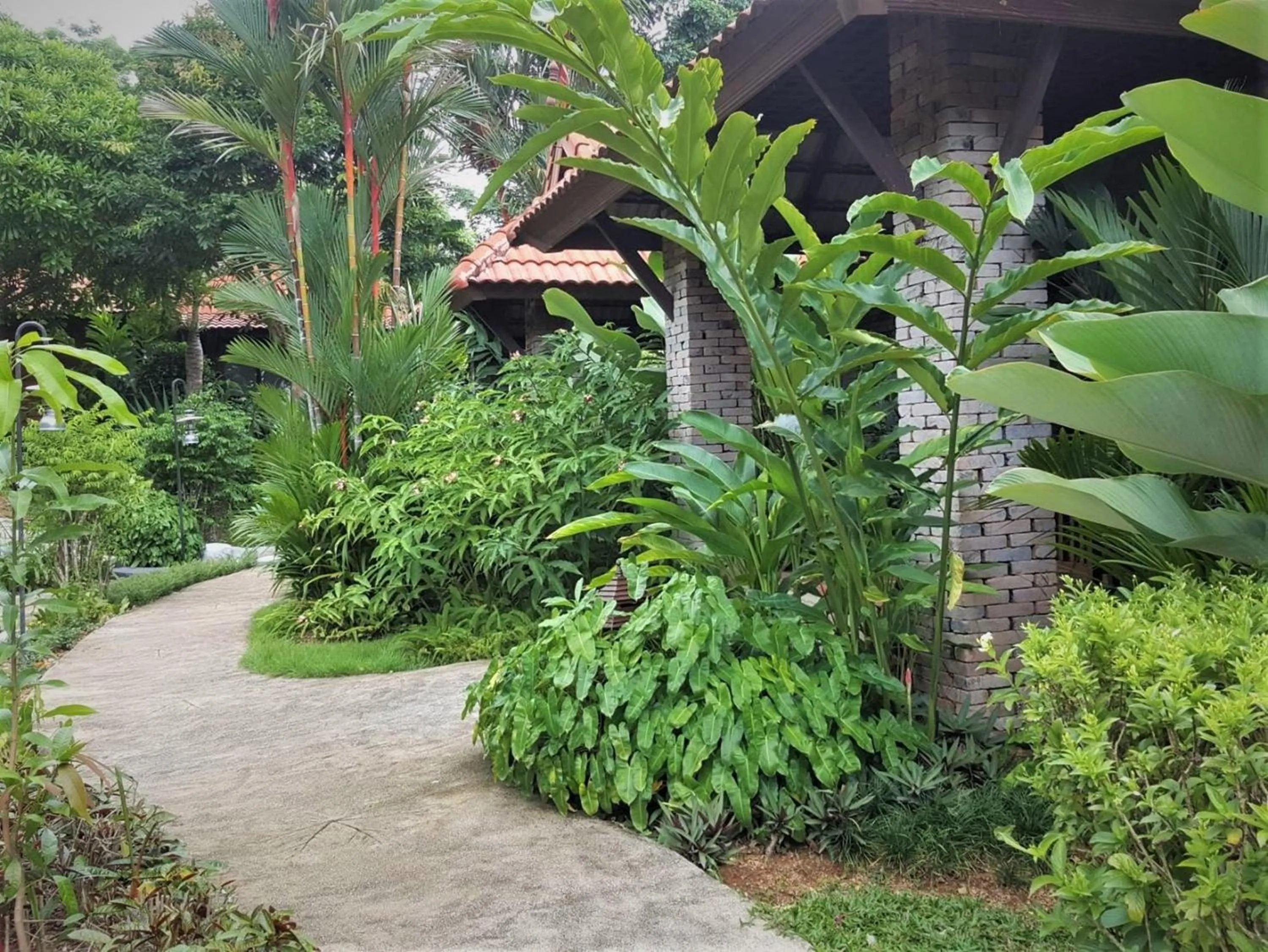 Garden in Tropicana Lanta Resort