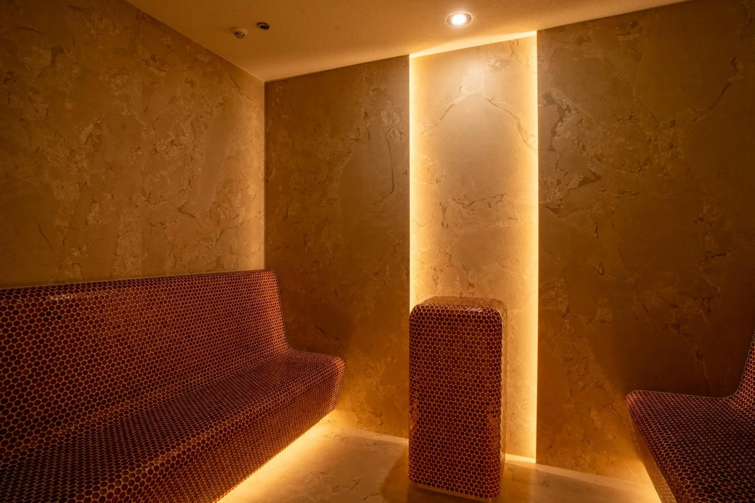 Sauna in Hotel Głęboczek Vine Resort& Spa