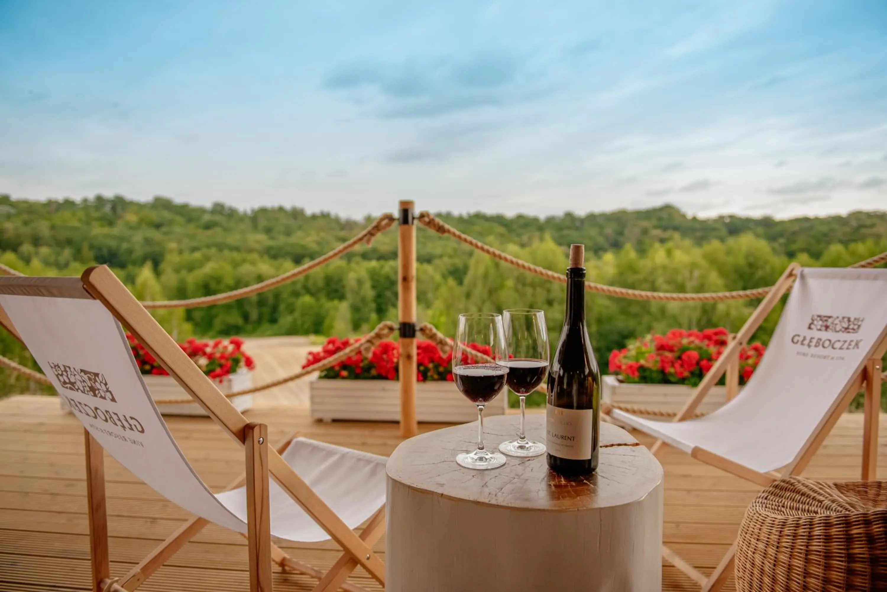 Natural landscape in Hotel Głęboczek Vine Resort& Spa