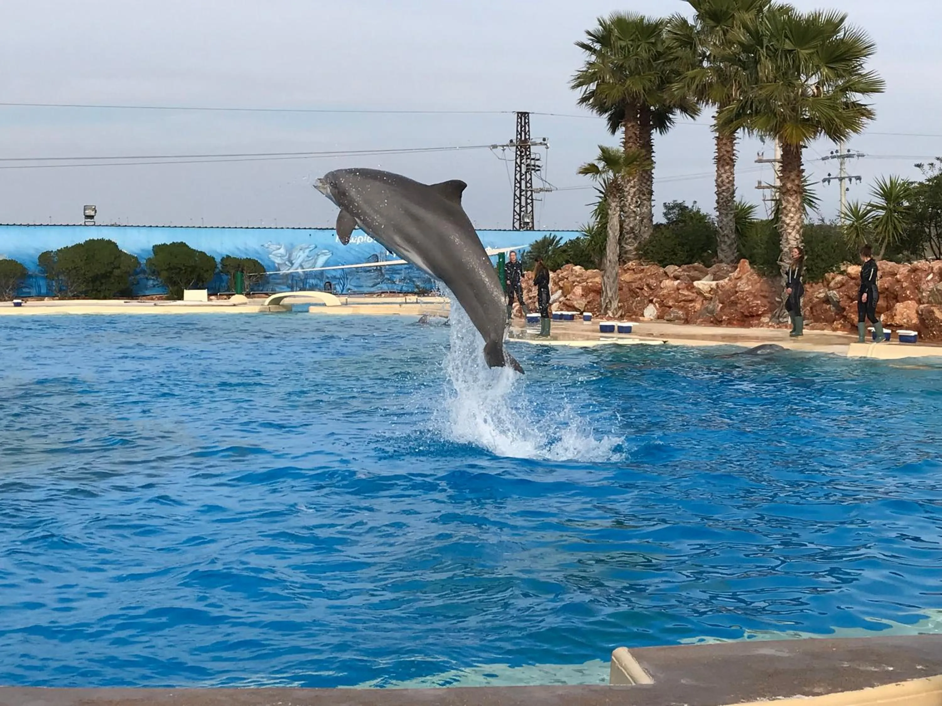 Aqua park in Dina's House