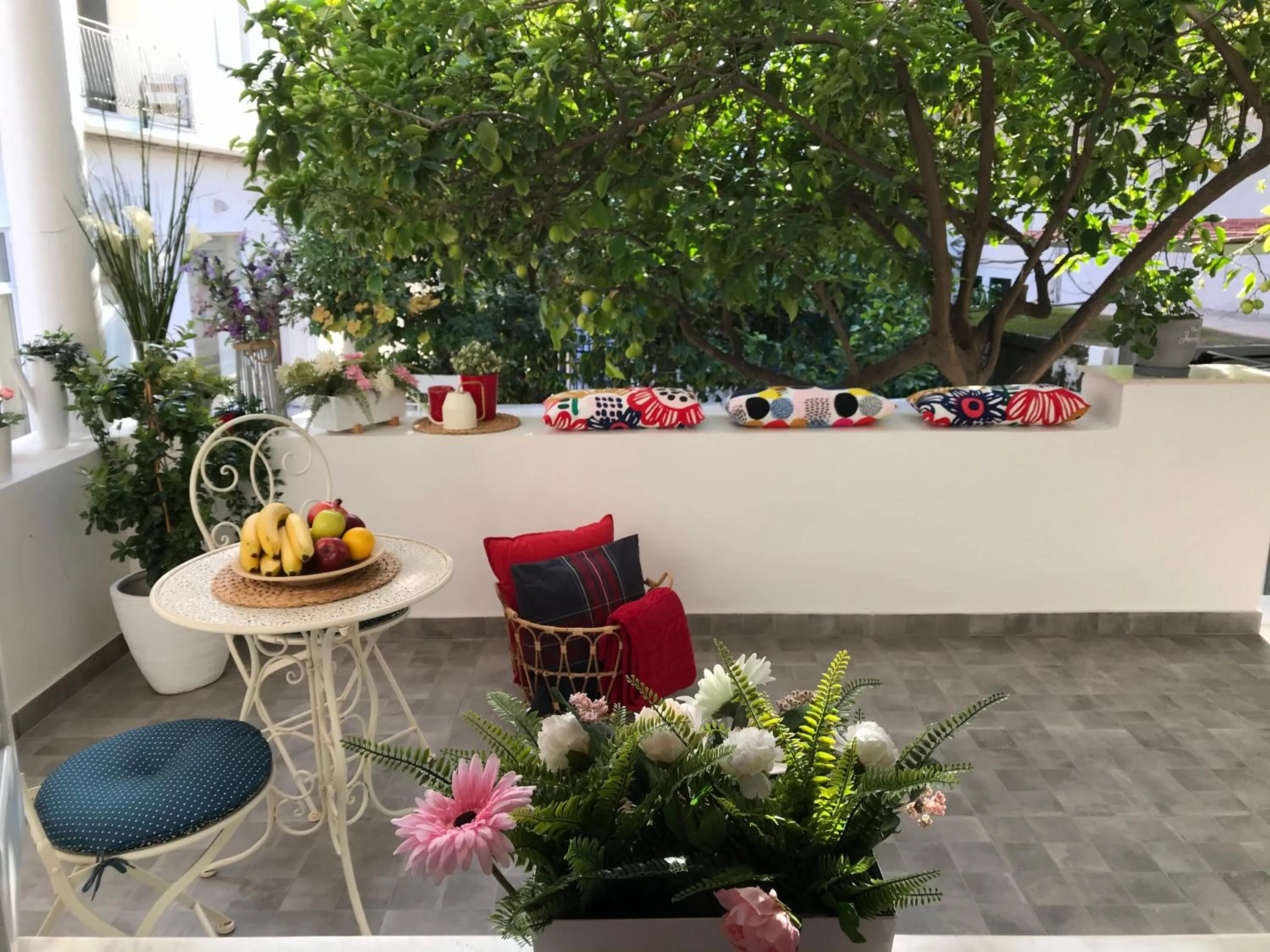 Balcony/Terrace in Dina's House