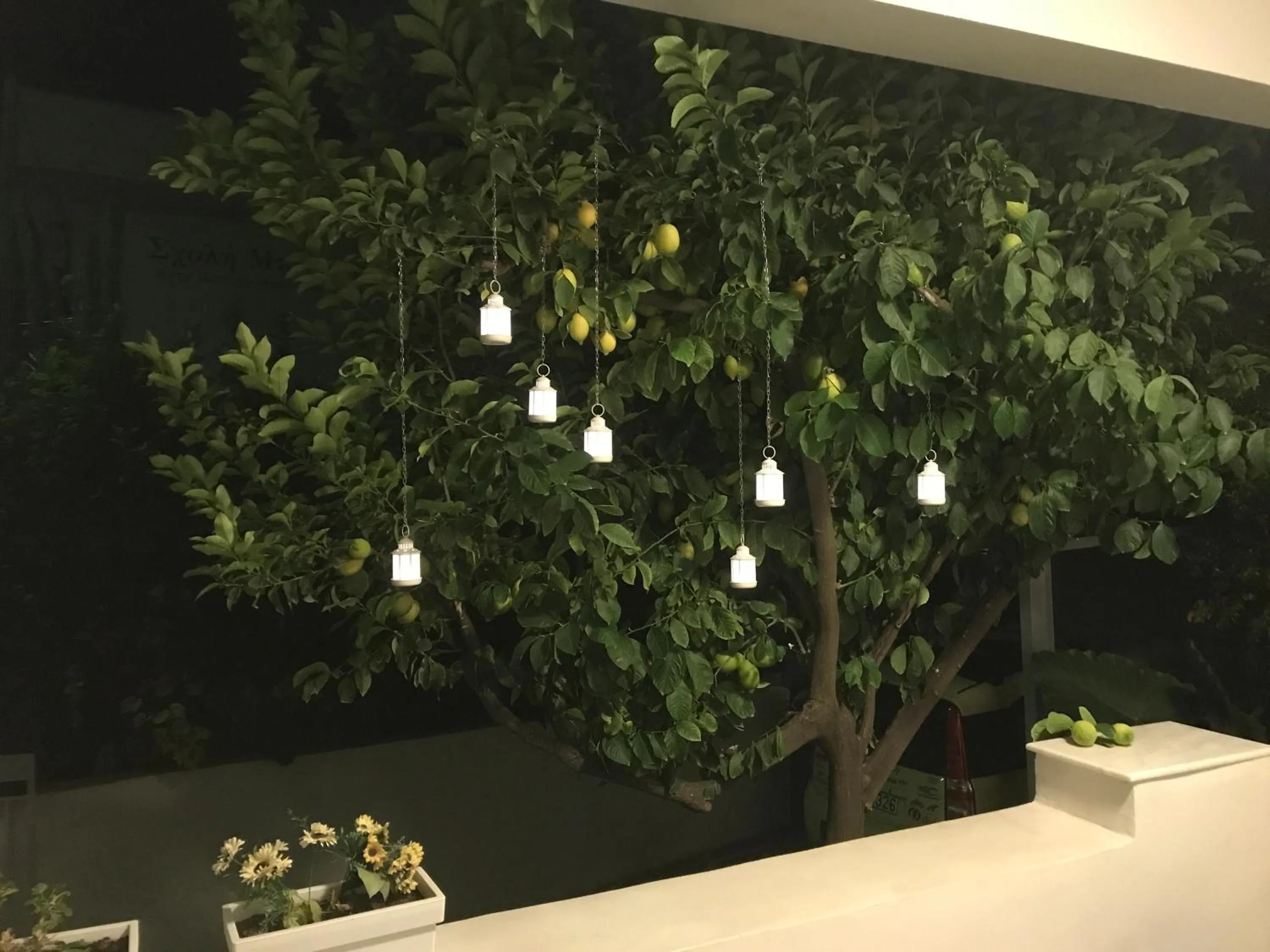 Balcony/Terrace in Dina's House