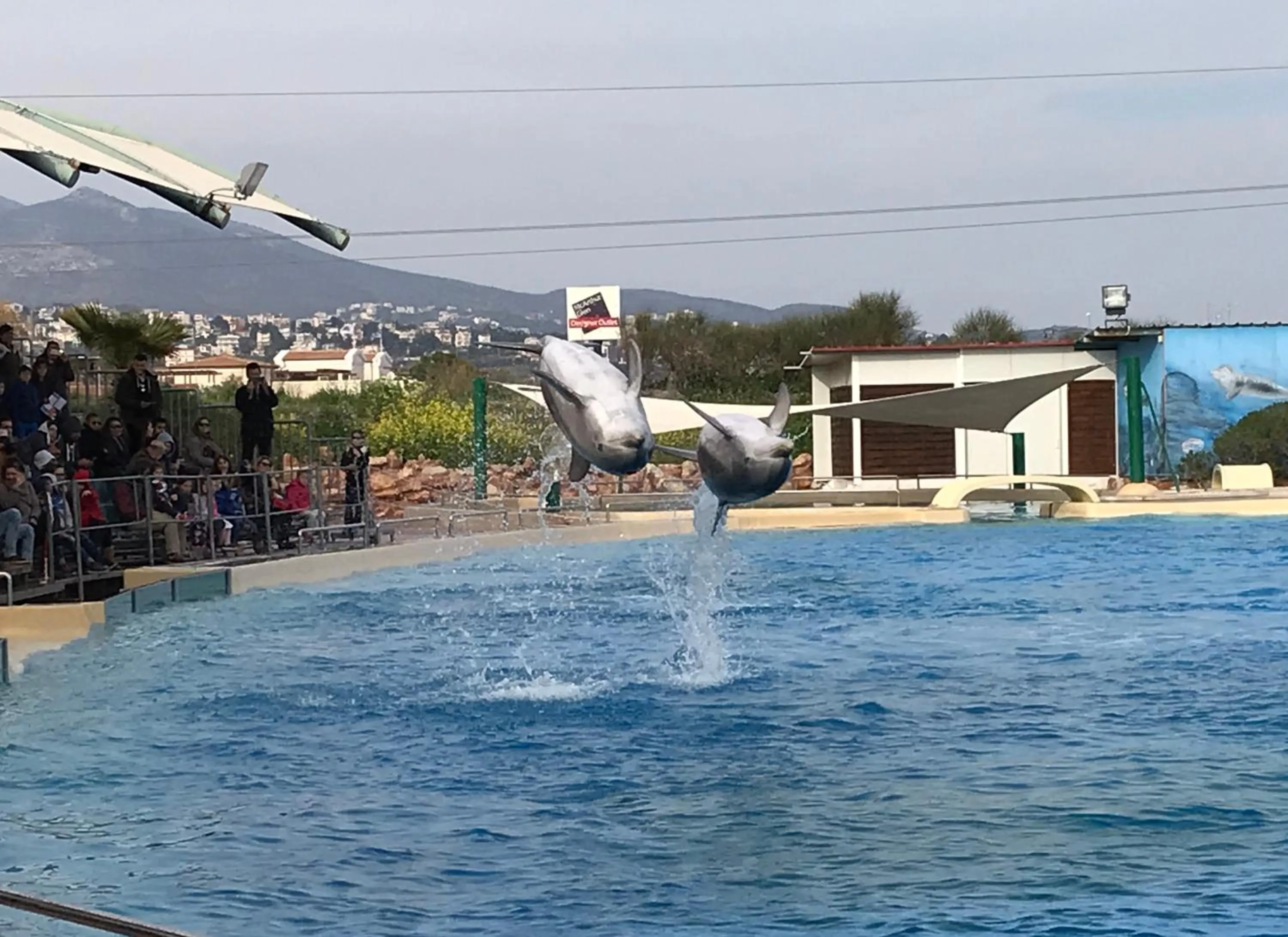 Activities in Dina's House