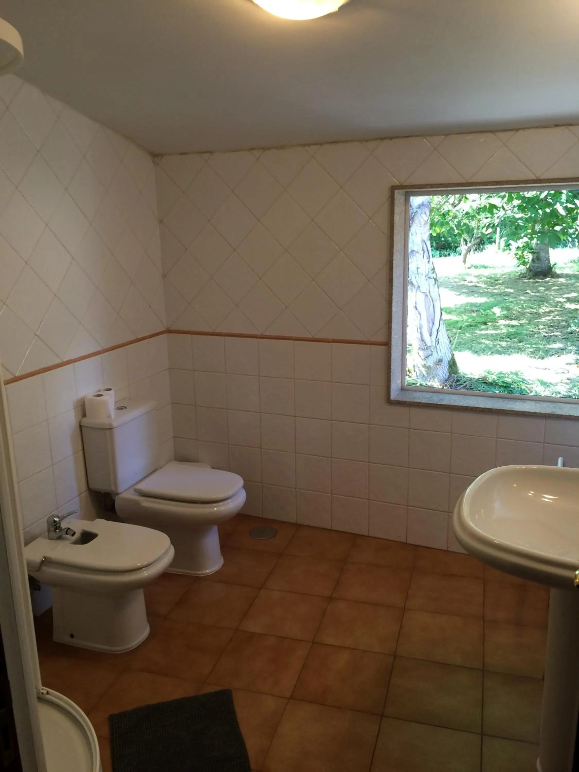 Toilet in Pensión - Albergue de Logrosa