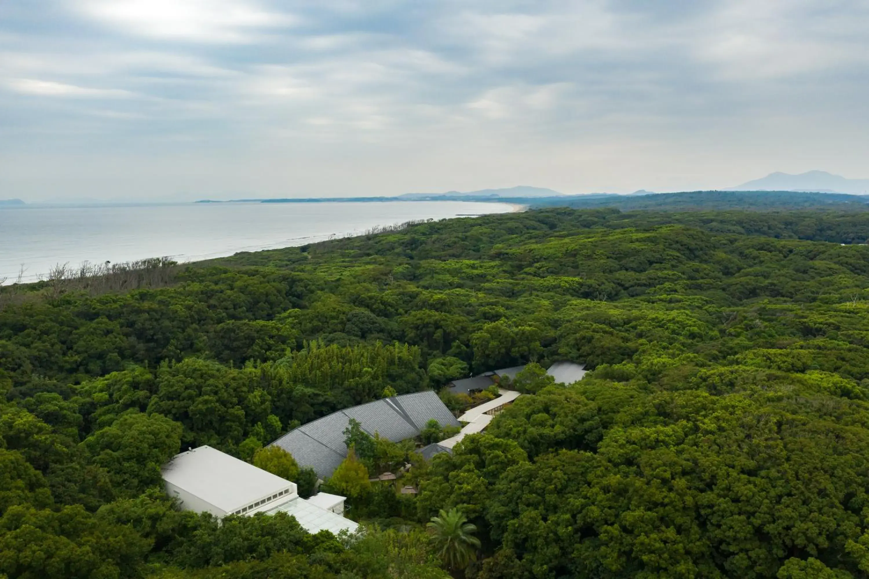 Mori no Nanakusa Mori no Nanakusa